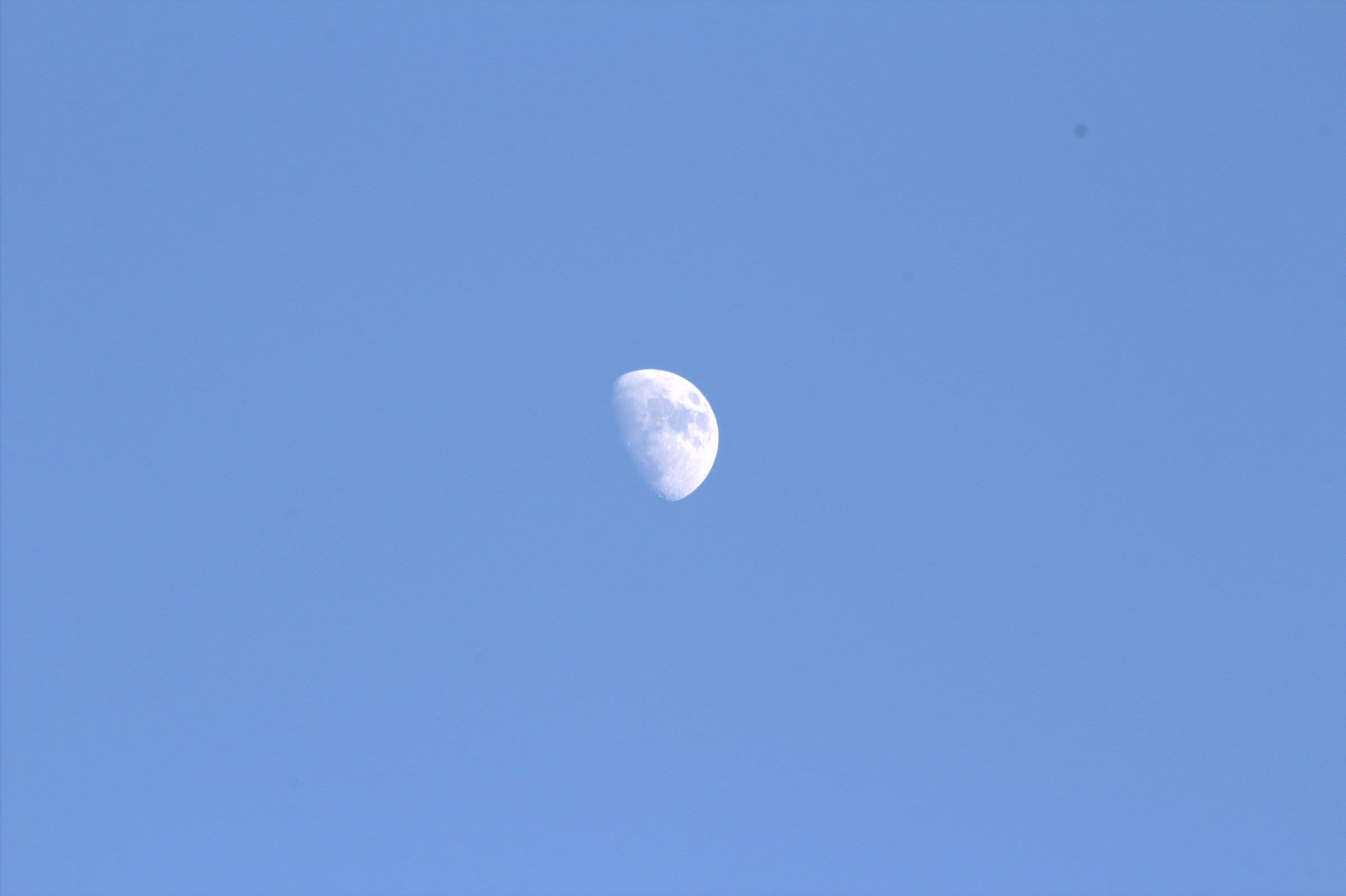 Moon by day