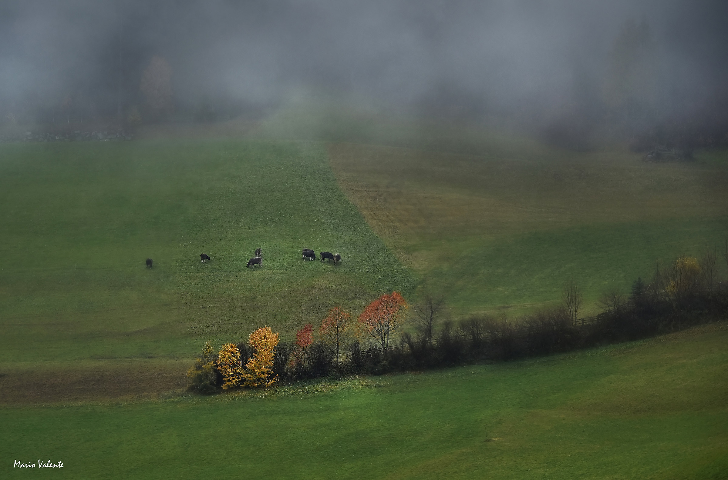 Autumn in Val Casies