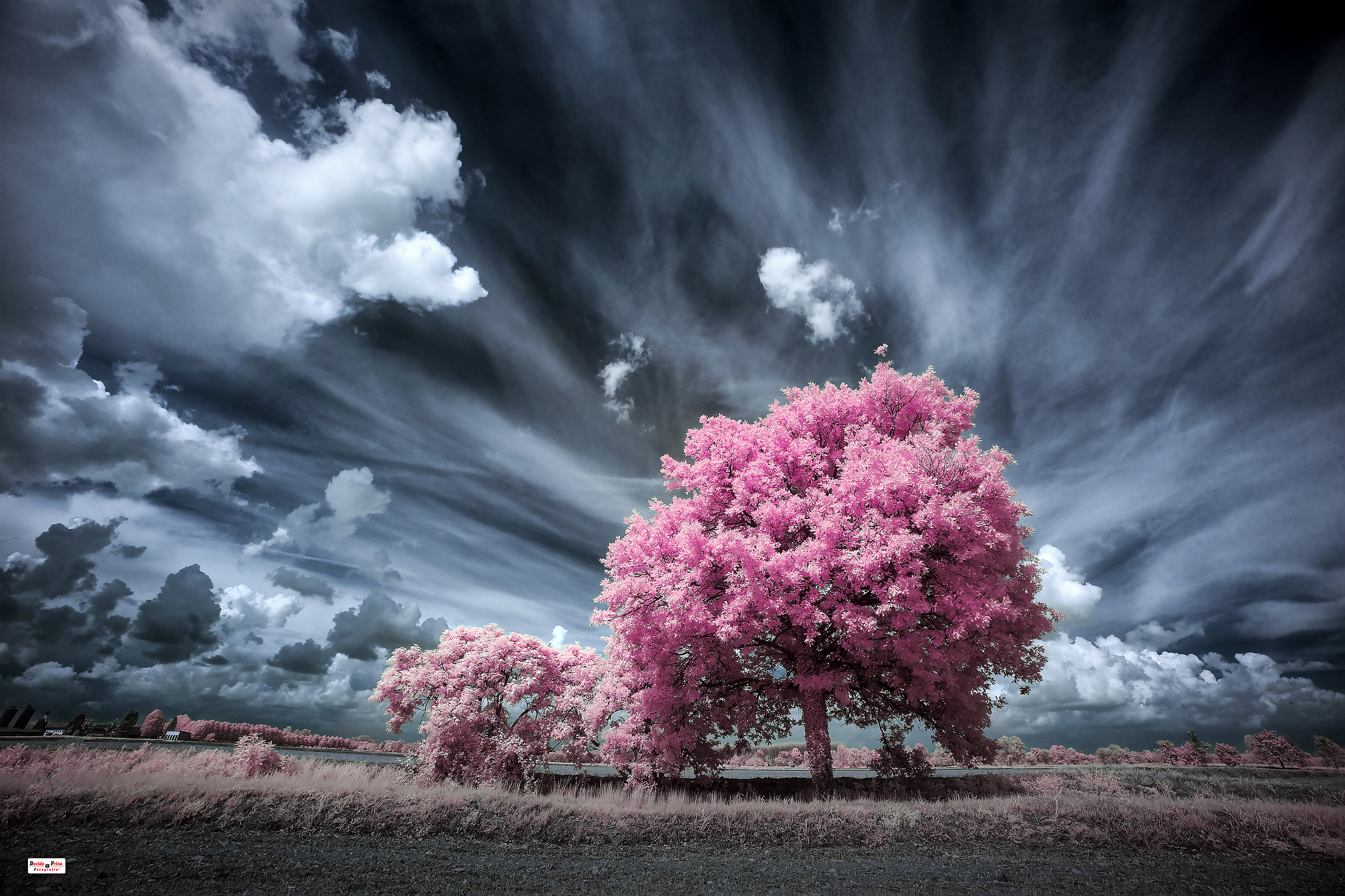 "Between cirri and altocumuli"