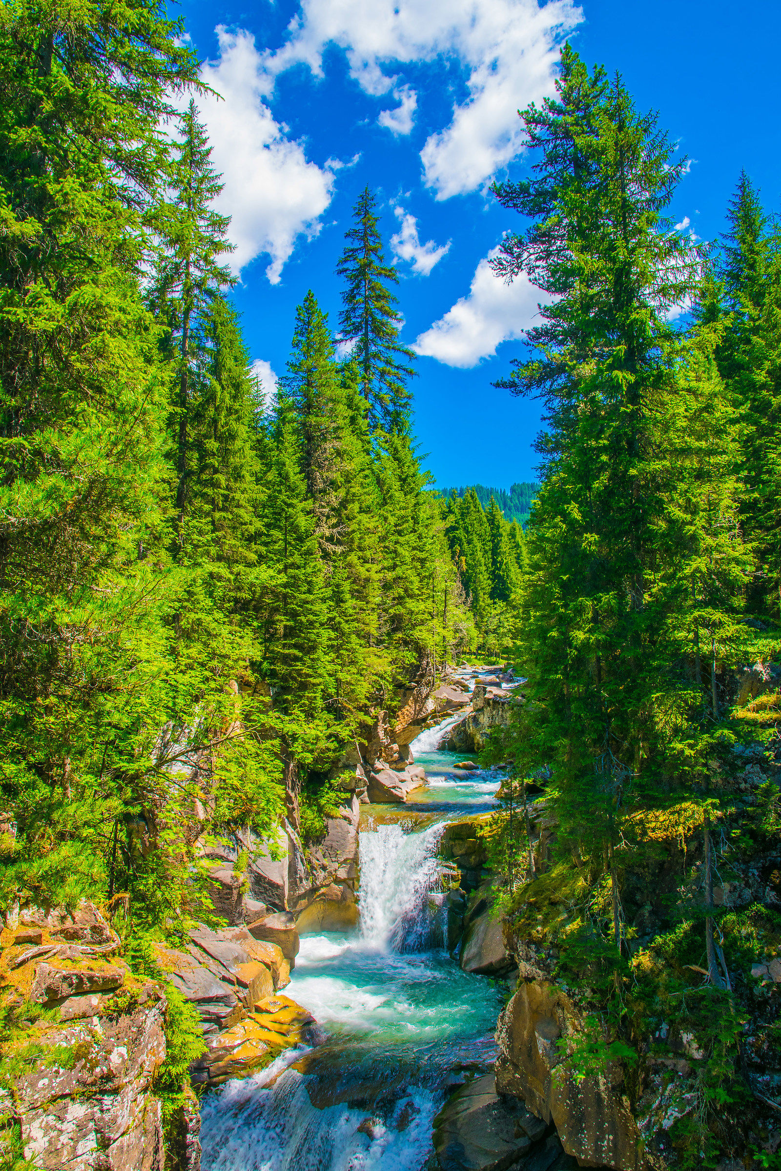 Stream in Paneveggio