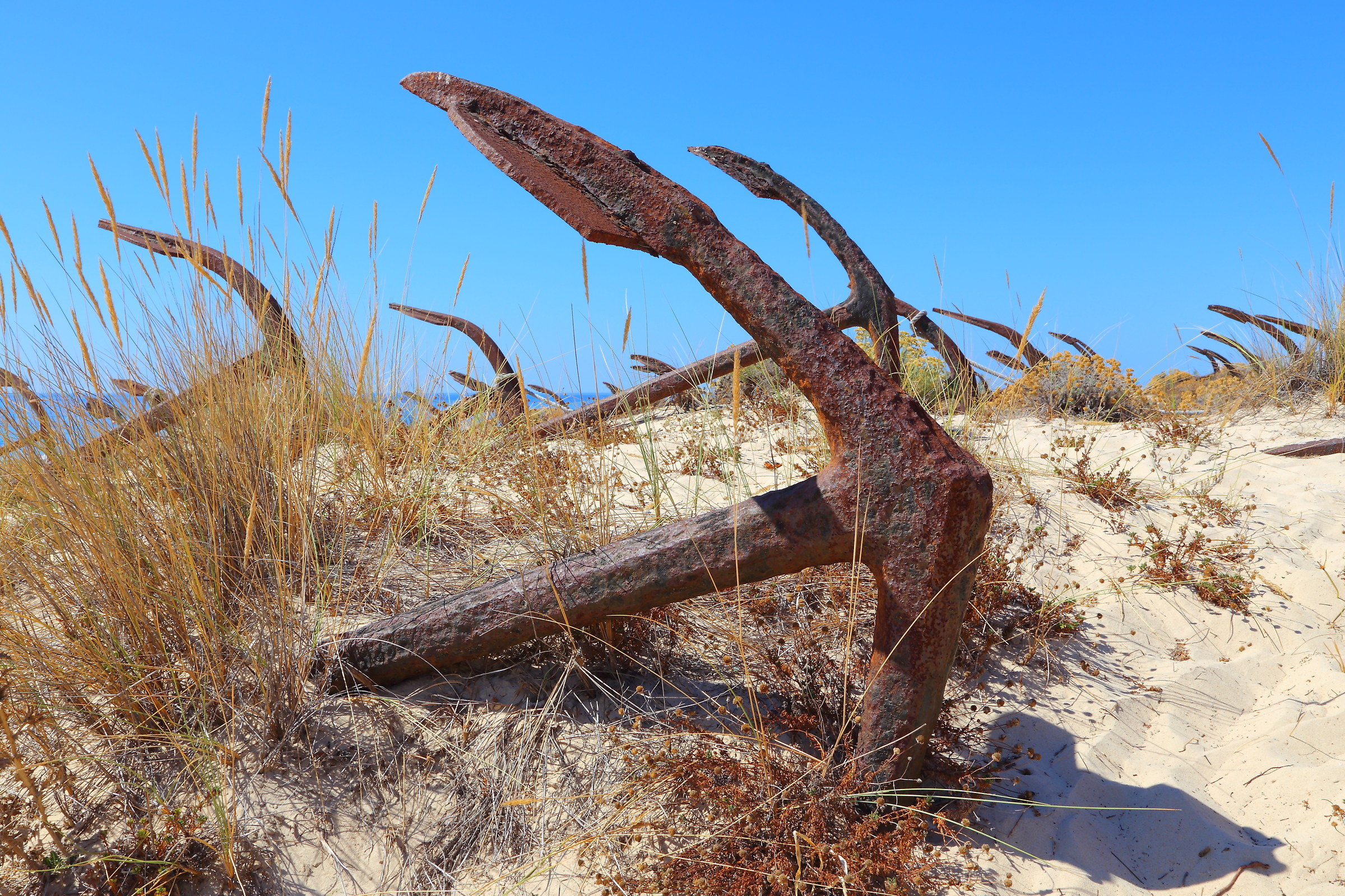 The cemetery of the anchors