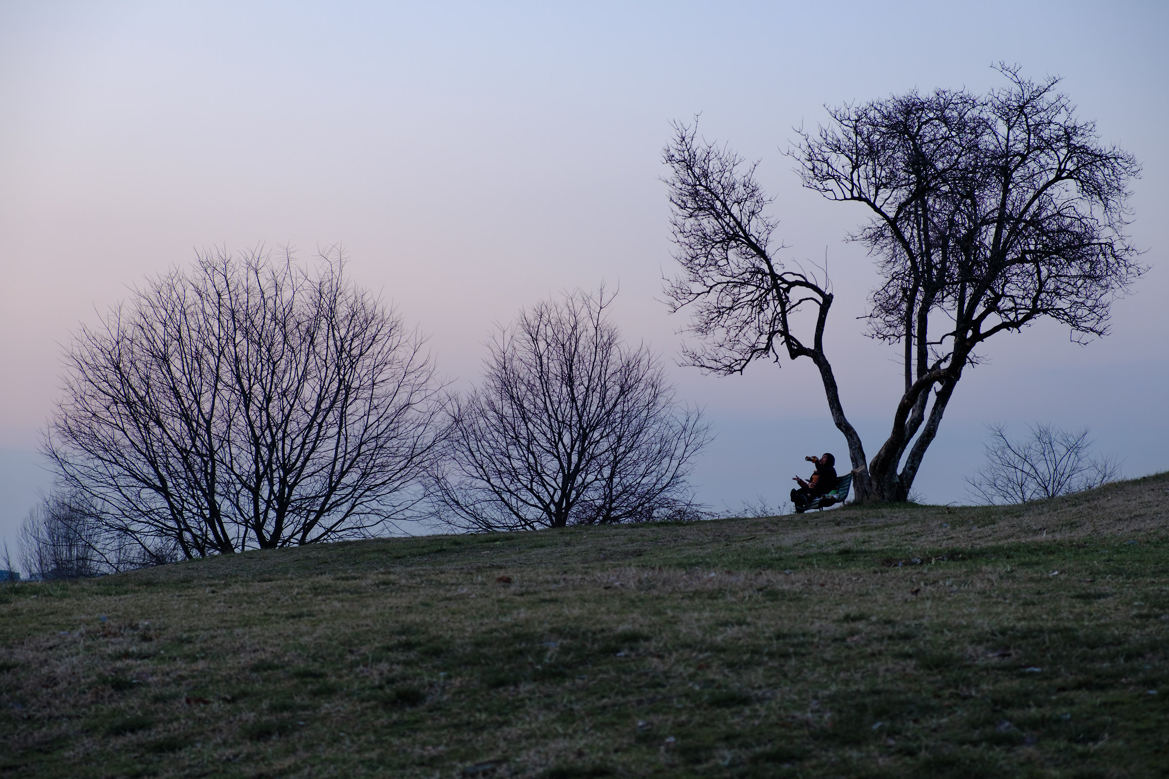 Siesta on soft colors