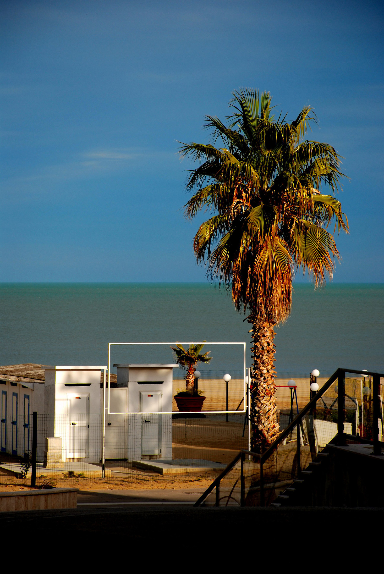 Crescerai,crescerai...