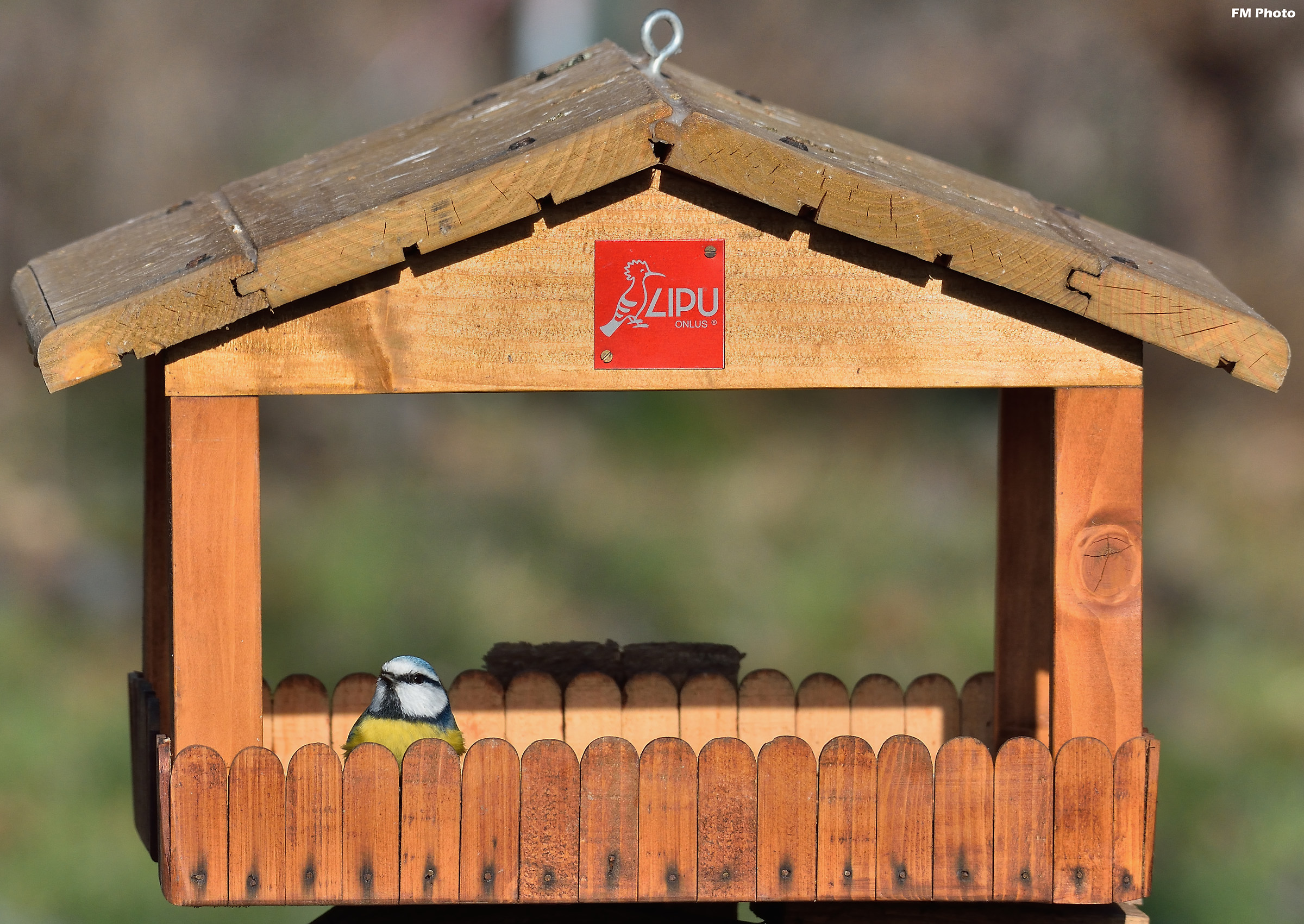 Tintarella allo Chalet