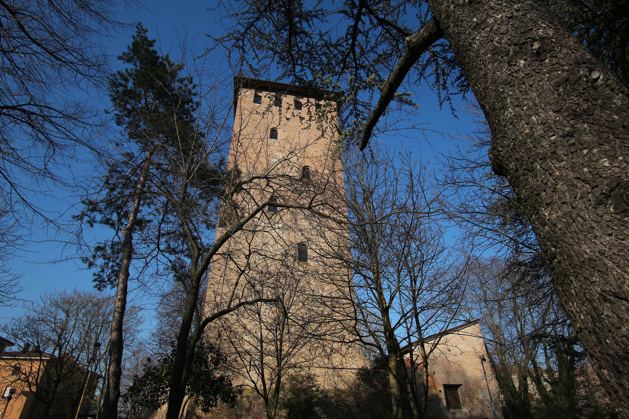 Looking at the tower