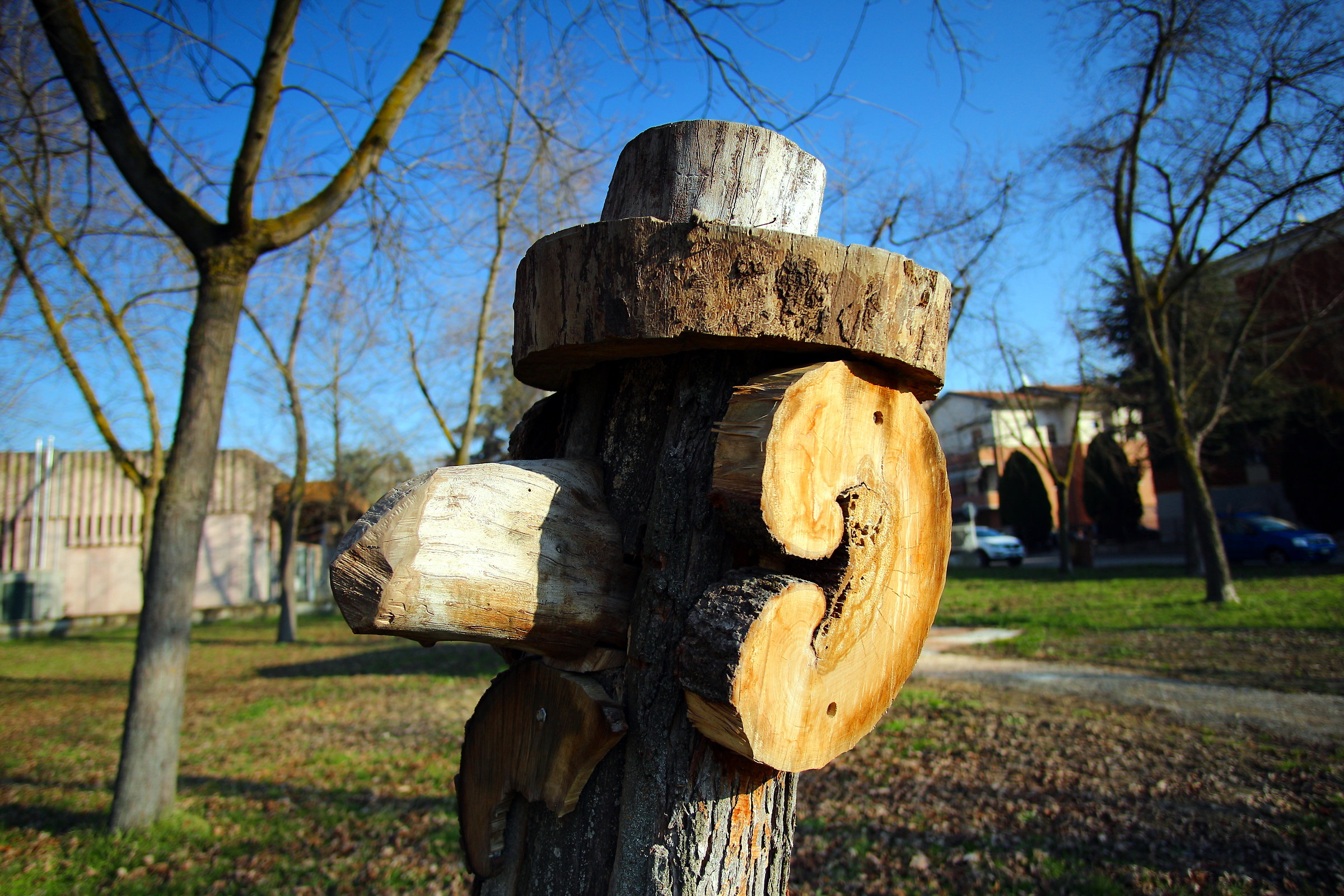 "Woody" subject to portray