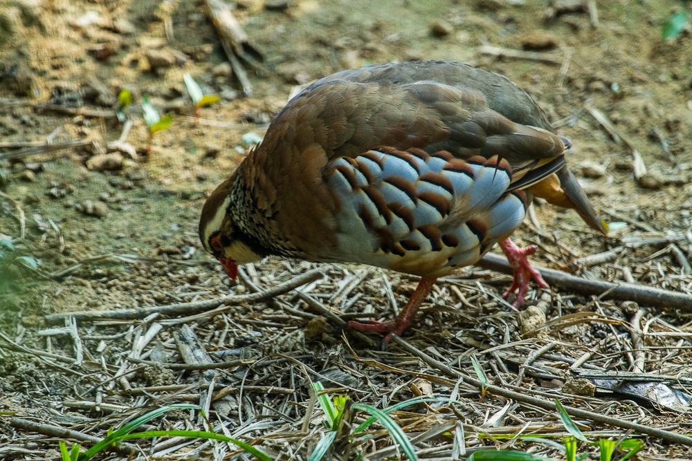 bo not know your name ---------------