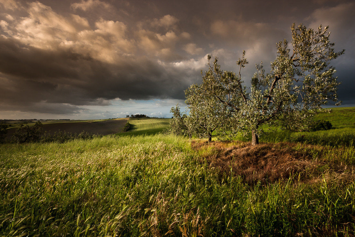 Di maggio sui colli pisani ...