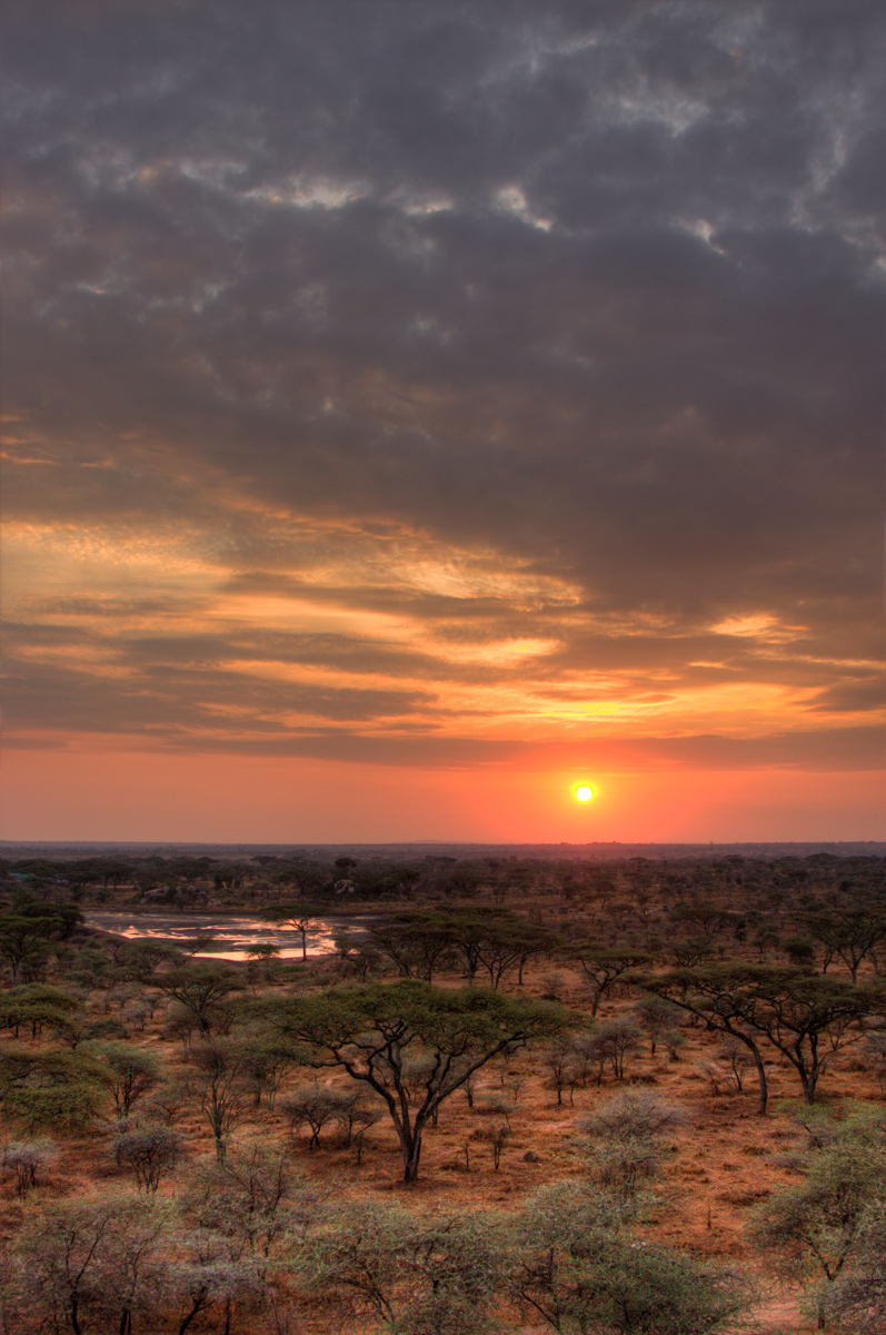 Sunrise in the Serengeti