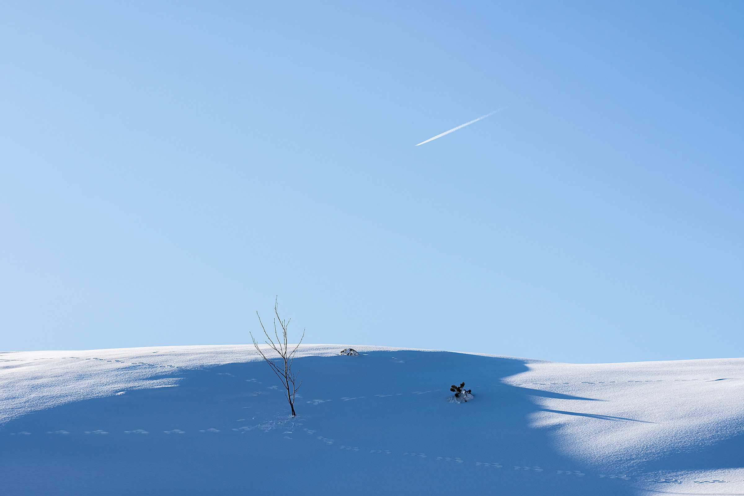 Minimal White & Blue