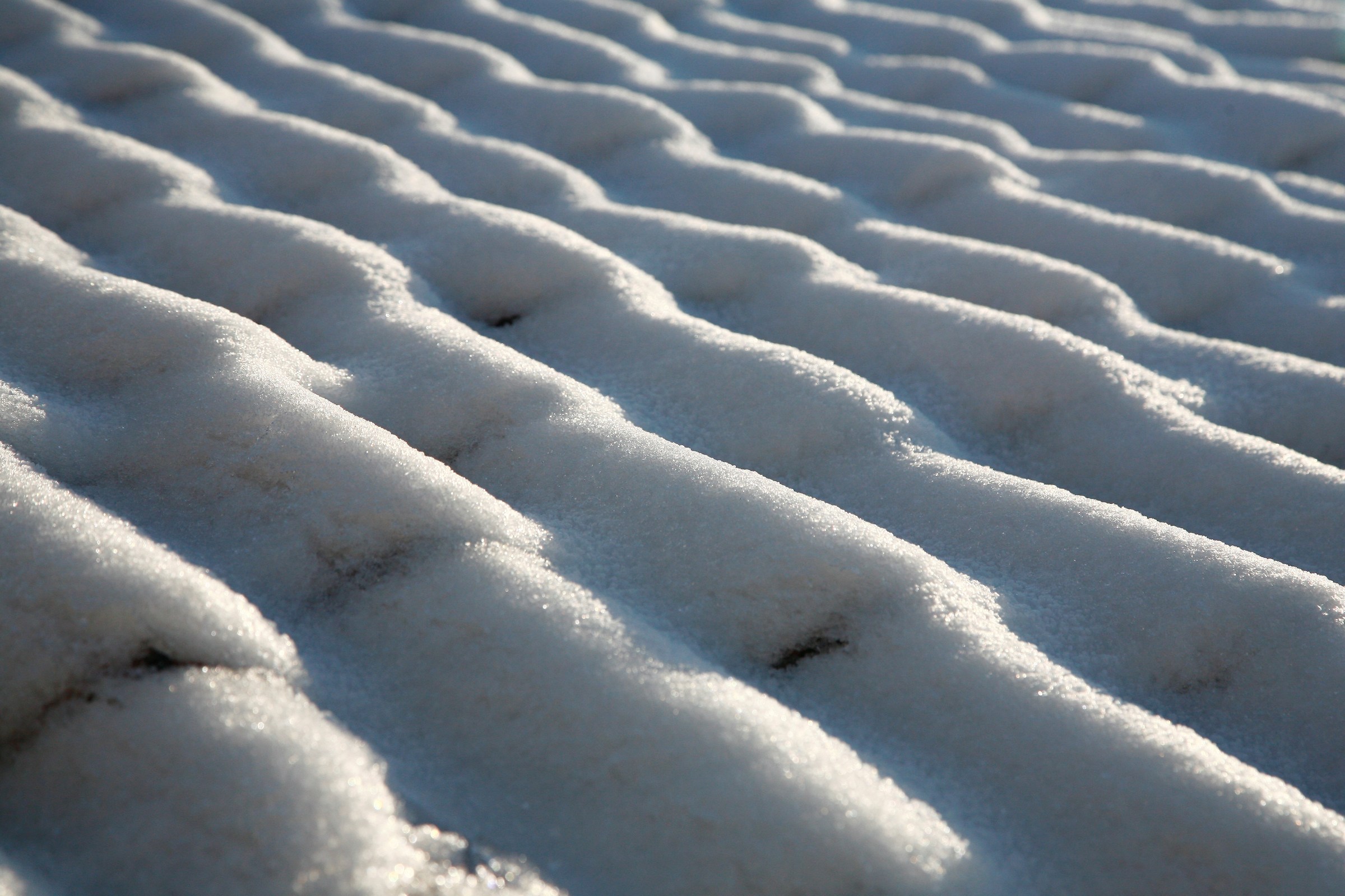 snow on the roofs