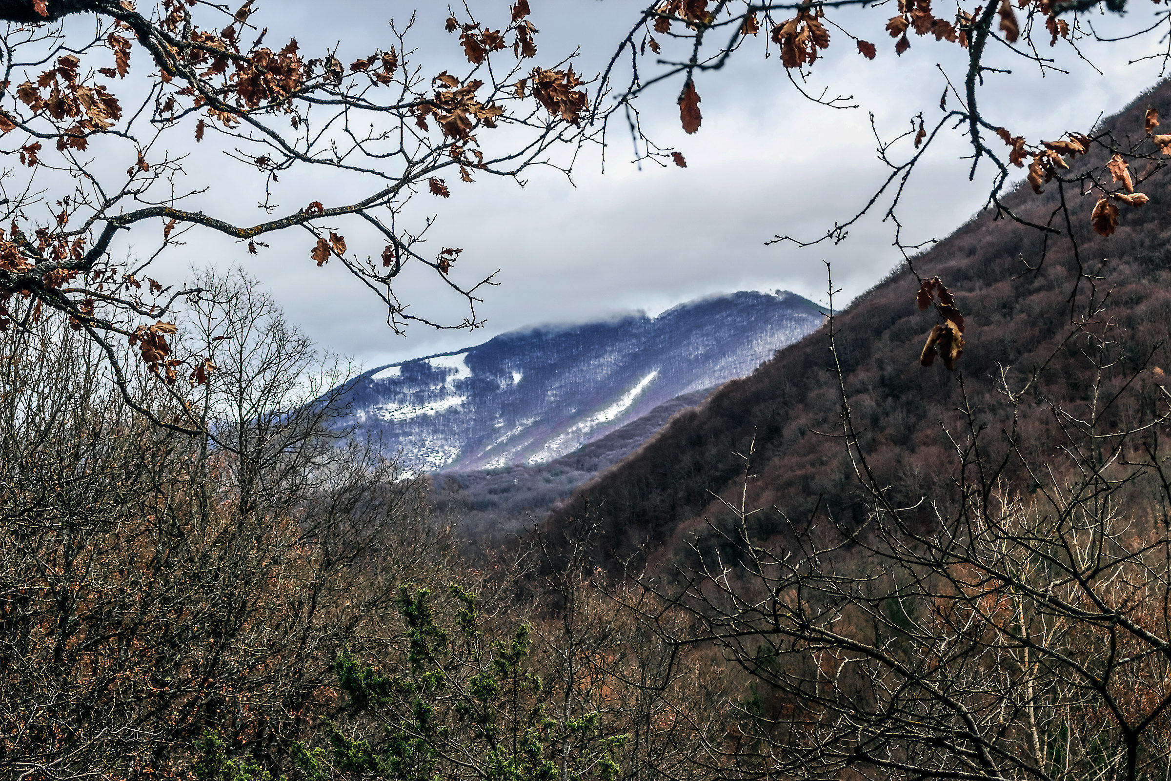 Monti Cantari from Pertuso