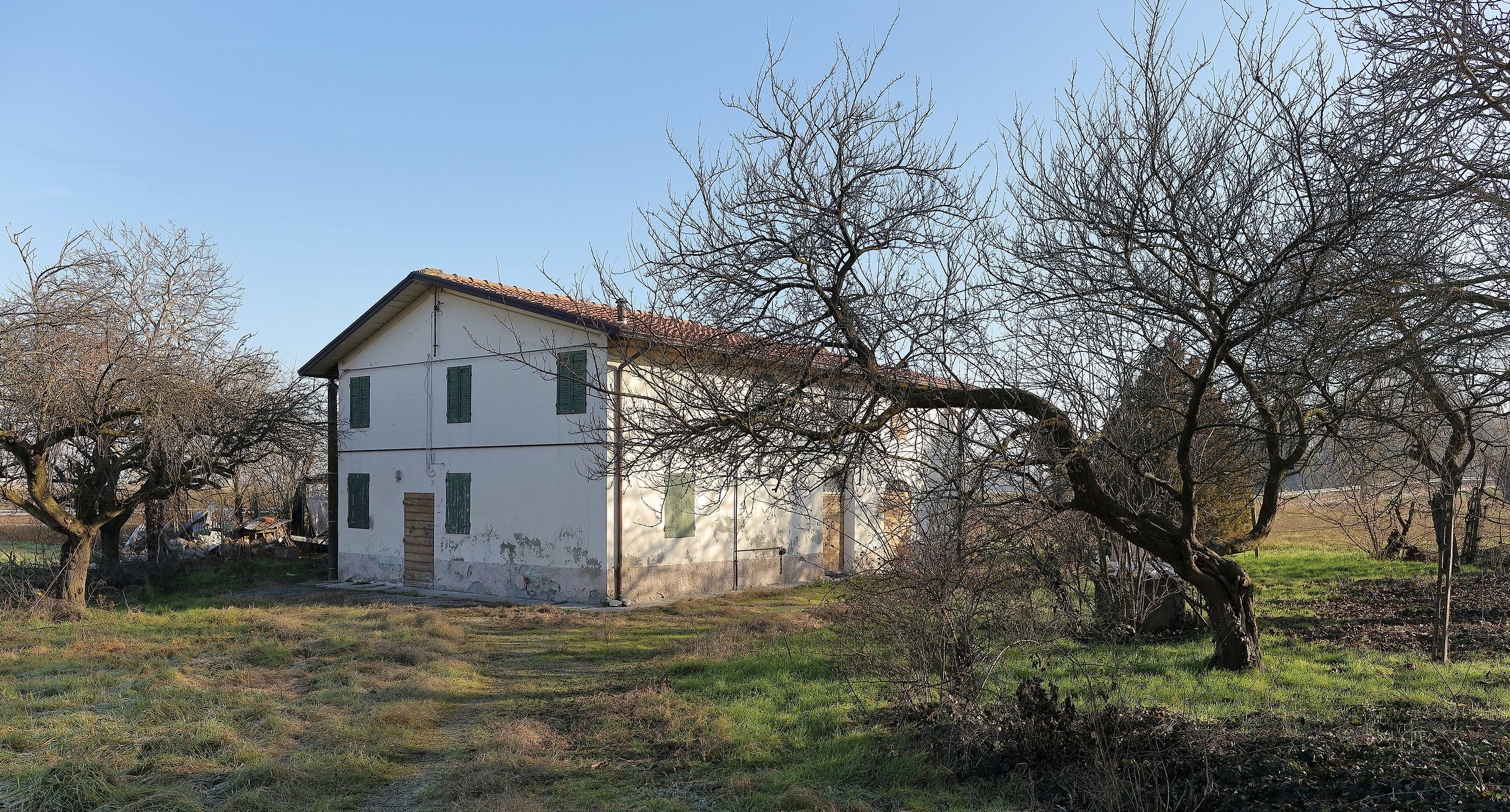 Test DSr and EF 24L f1.4 II