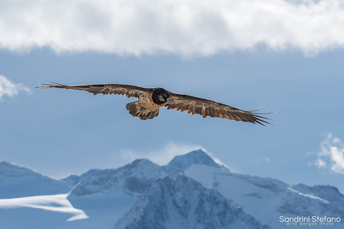 ... for the white valleys where dragons fly ...