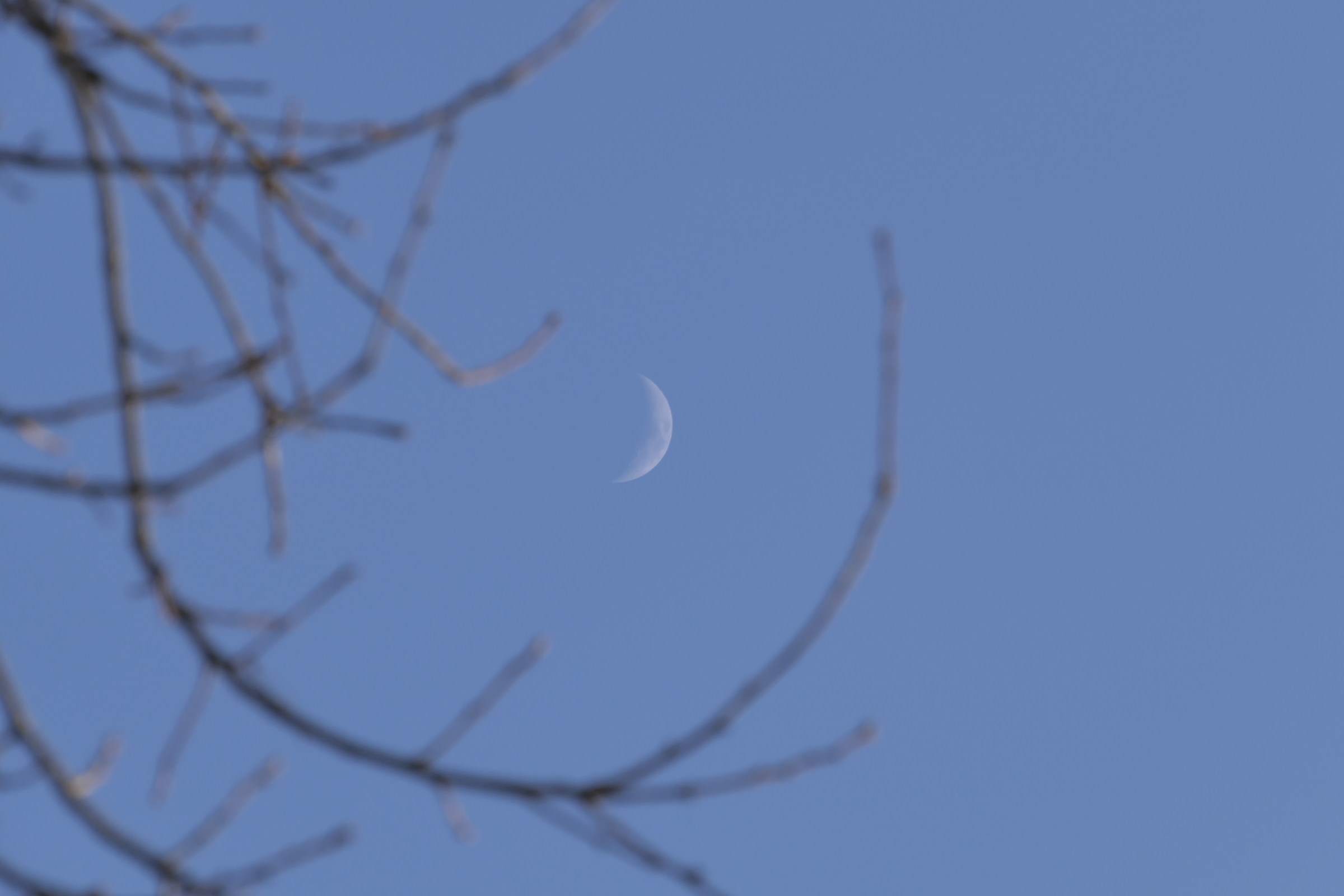 una piccola parvenza di luna