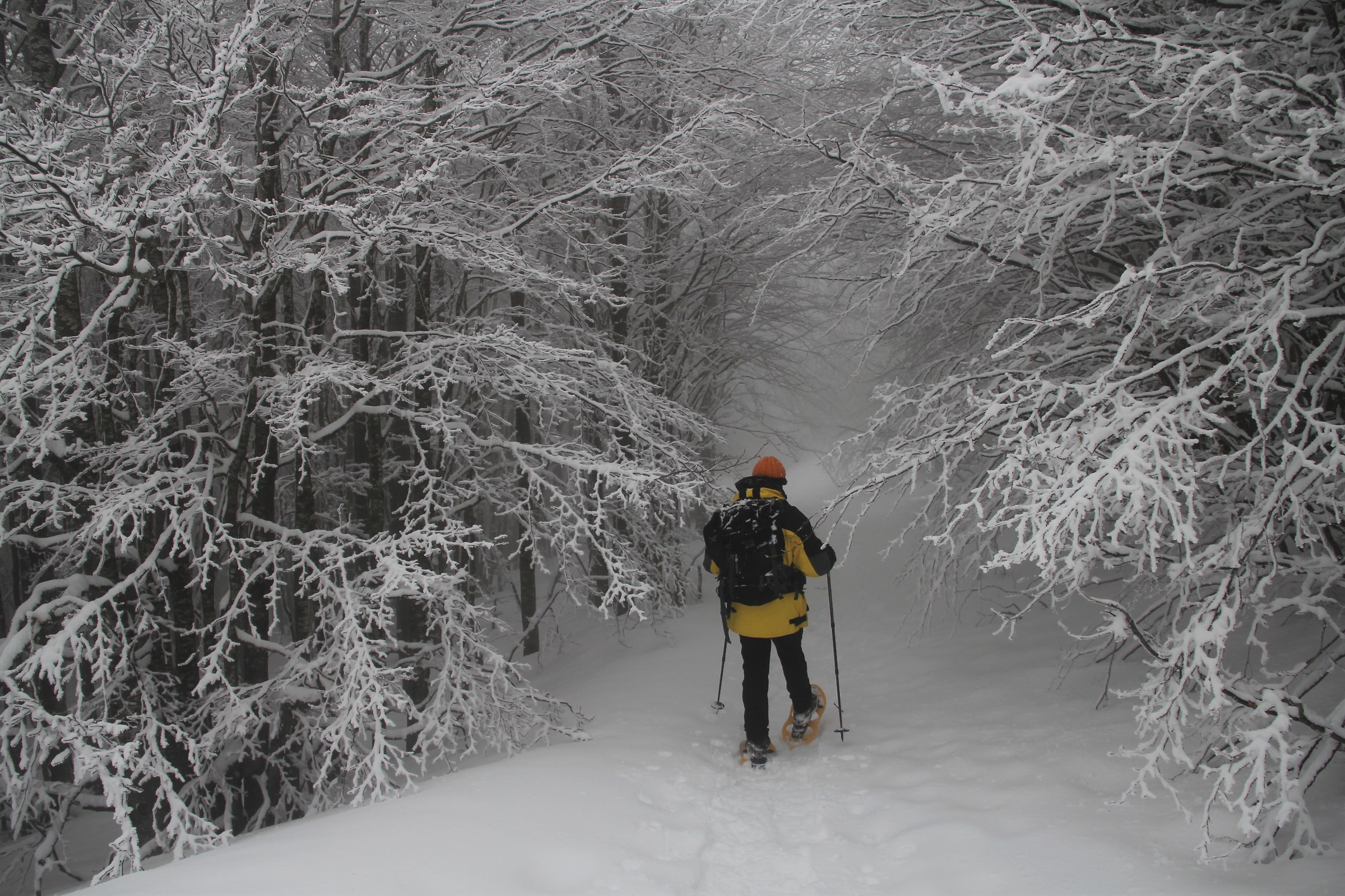 Viaggio in un'altra dimensione 1
