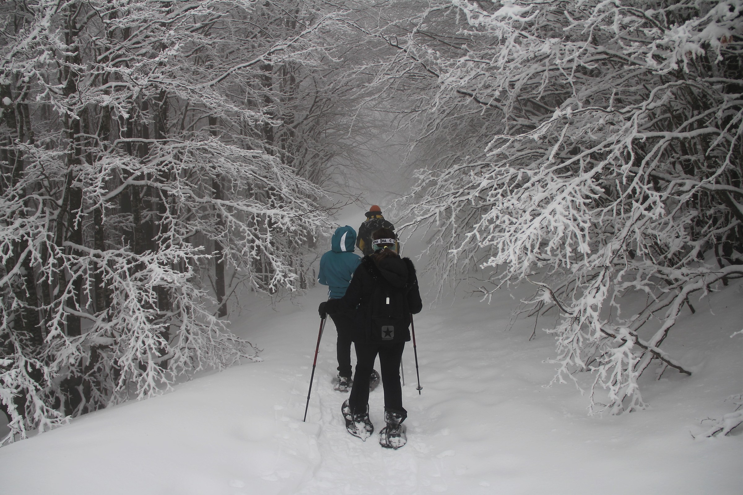 Travel to another dimension 2