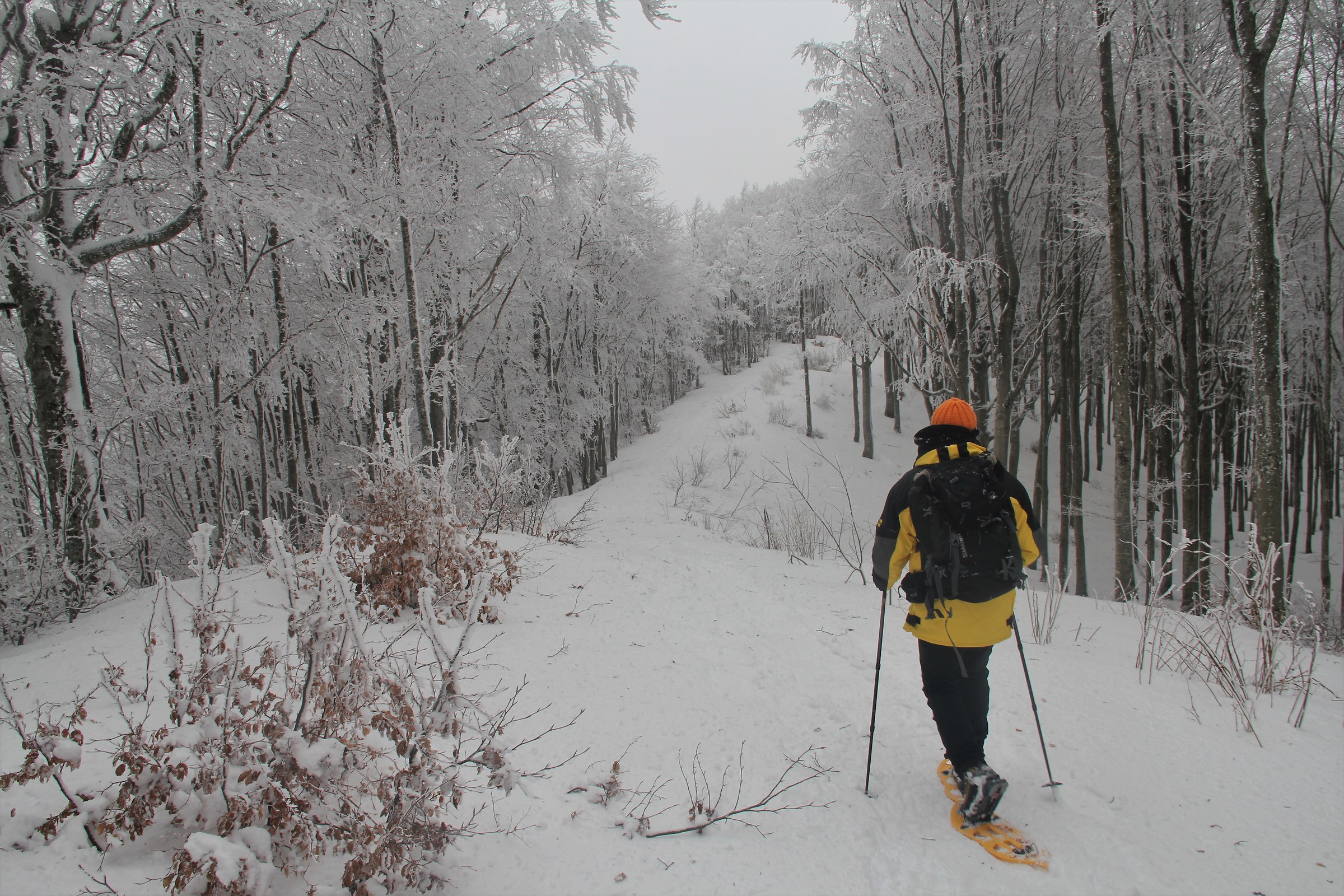 Viaggio in un'altra dimensione 3