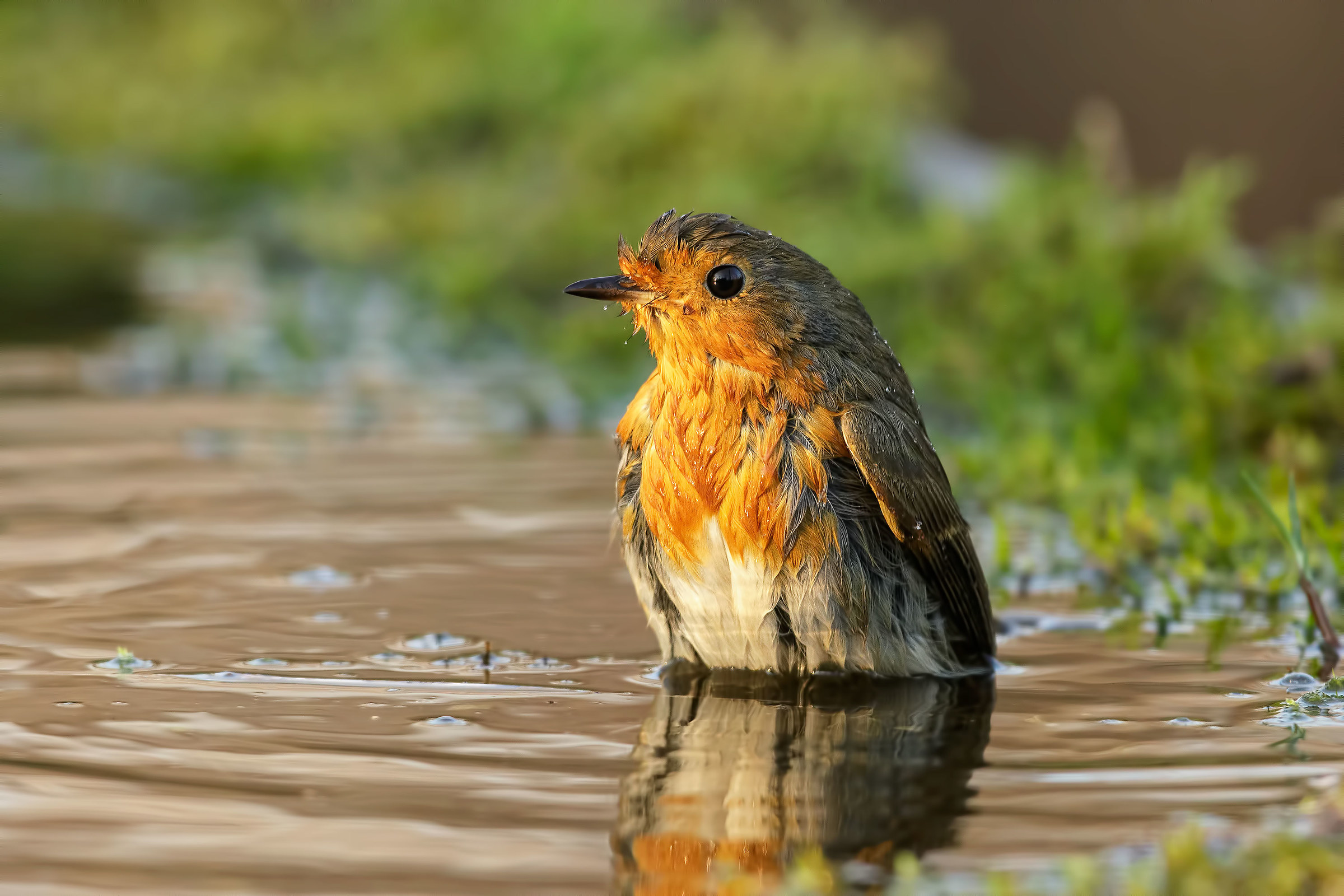 Petty at the bathroom