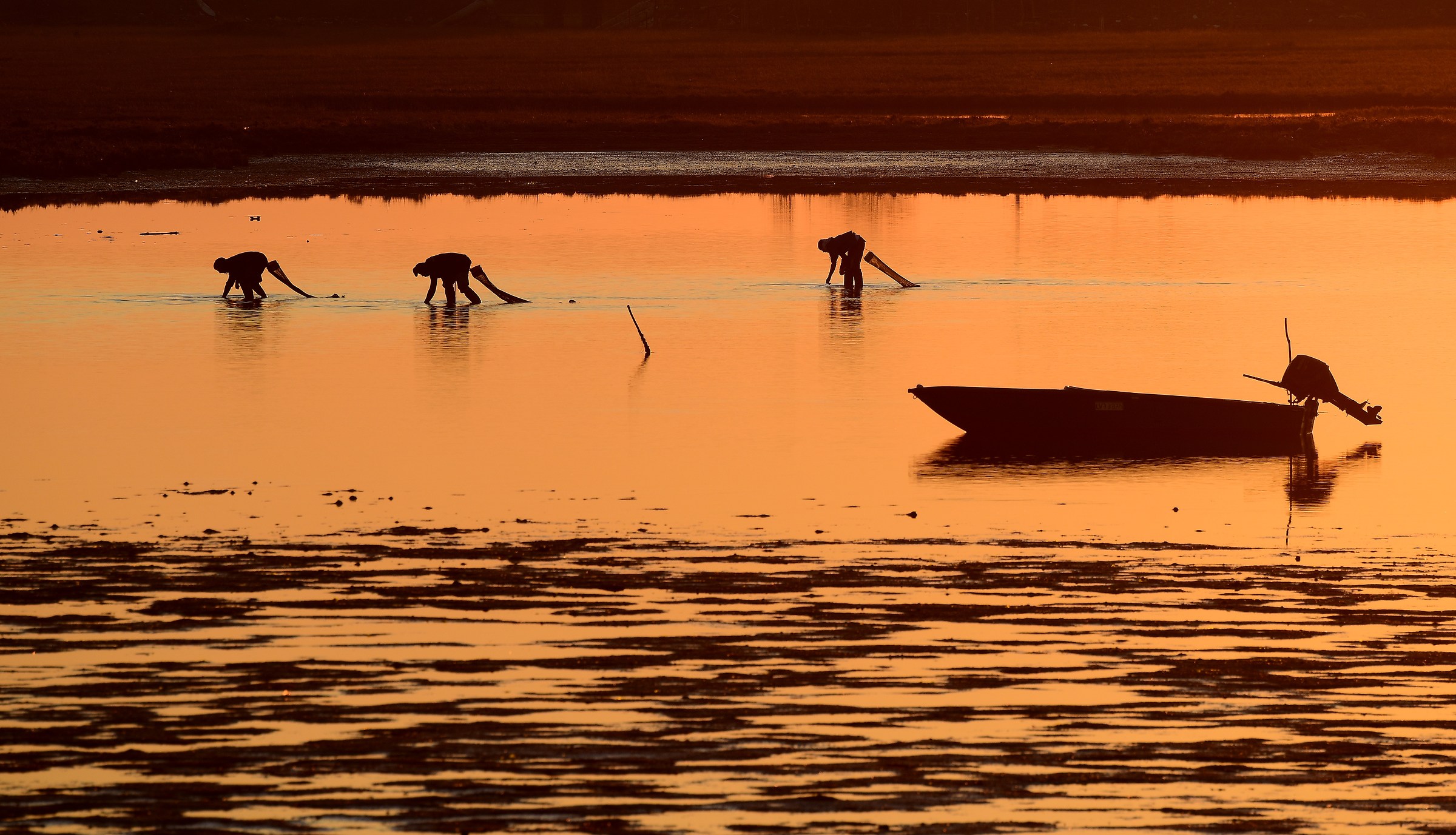 The colors of the sunset 2