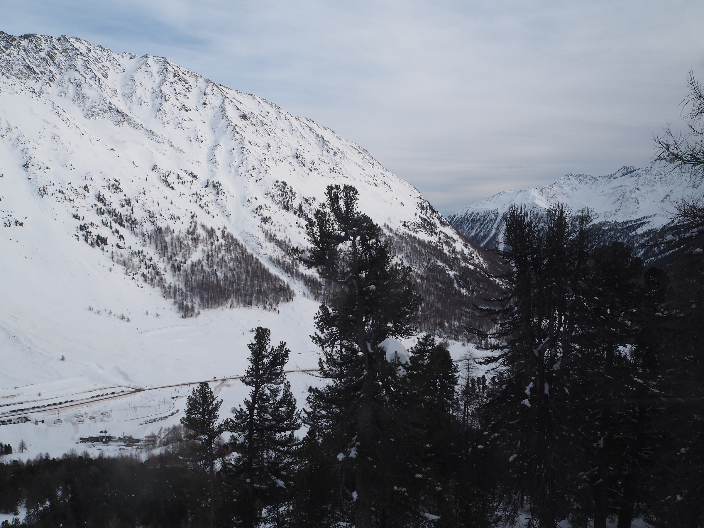 Untitled Photo