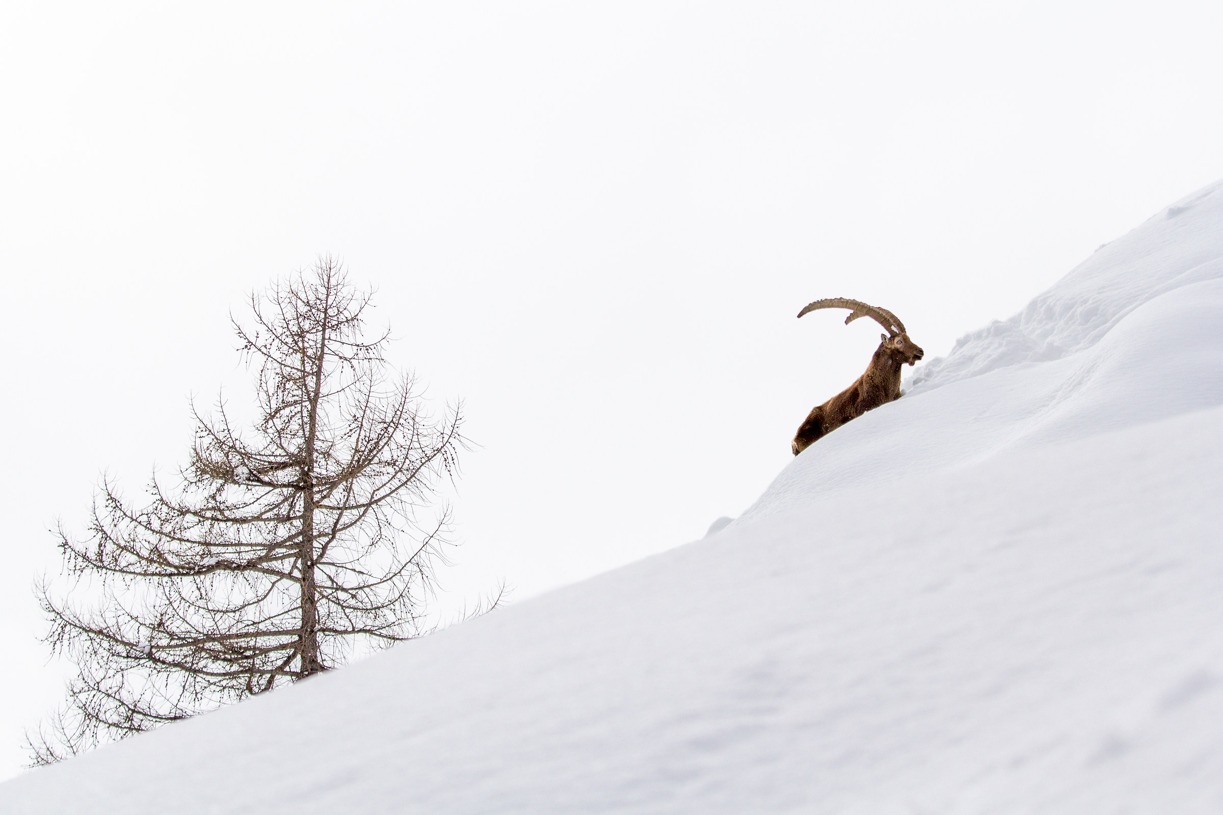 Mountain silhouettes