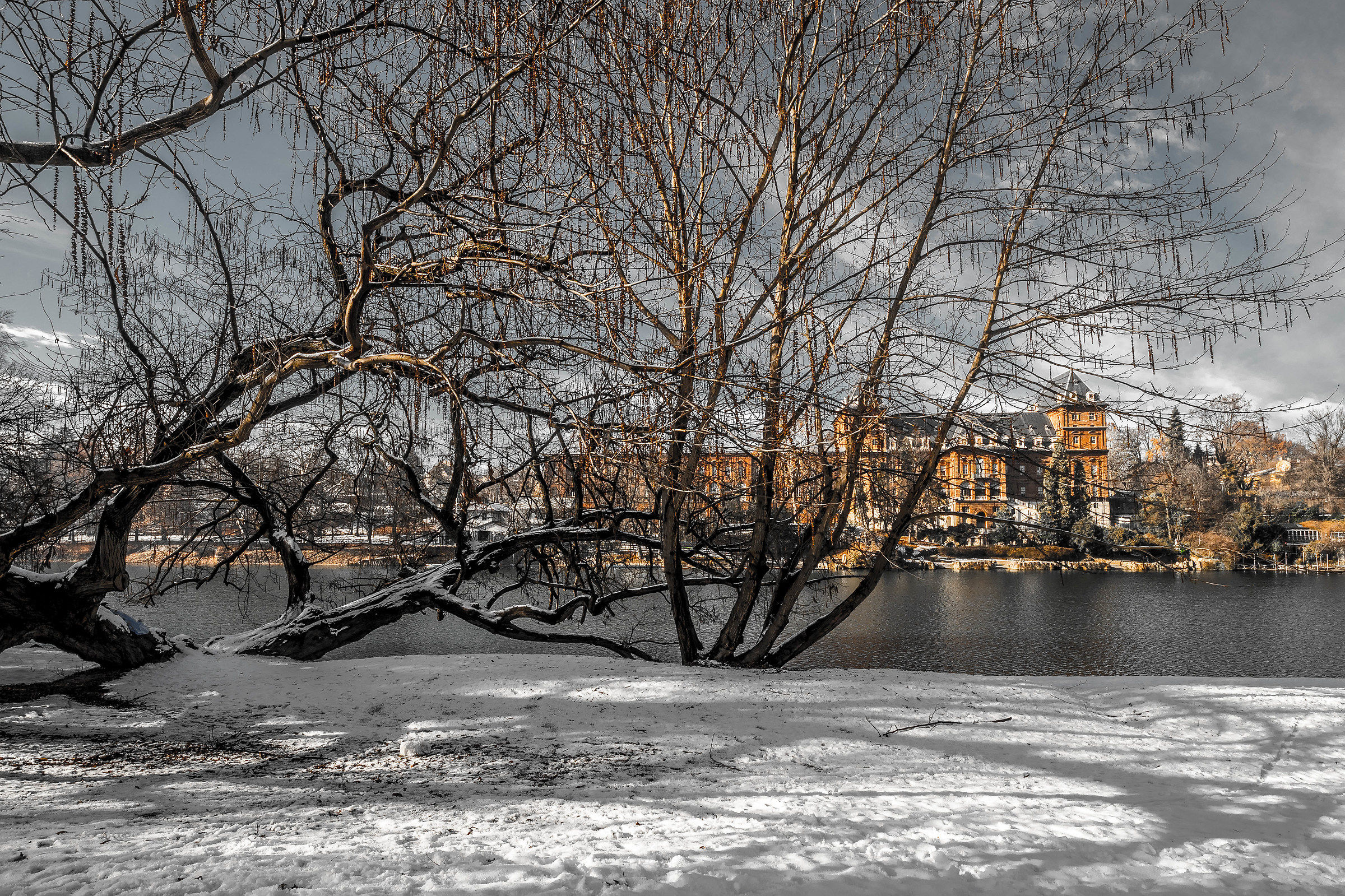 Un "PO" d'inverno a Torino...............