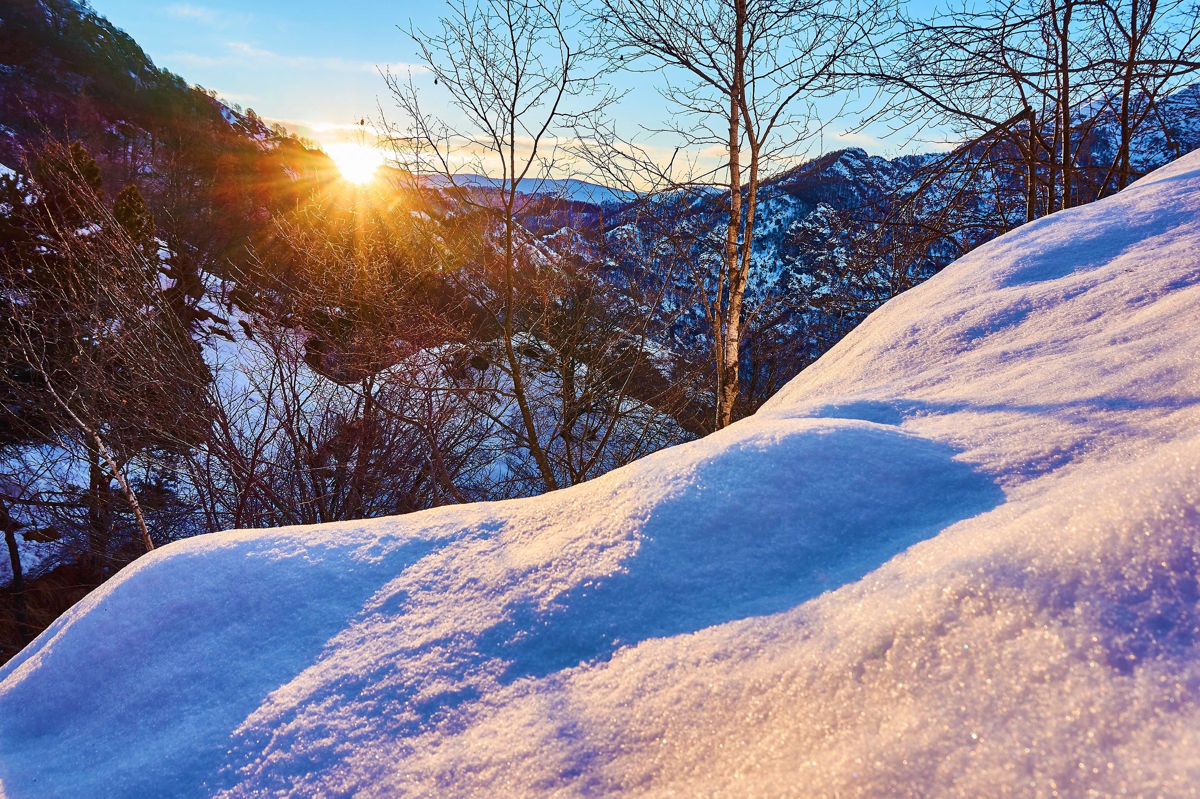 The sun in the spiderweb of branches ....