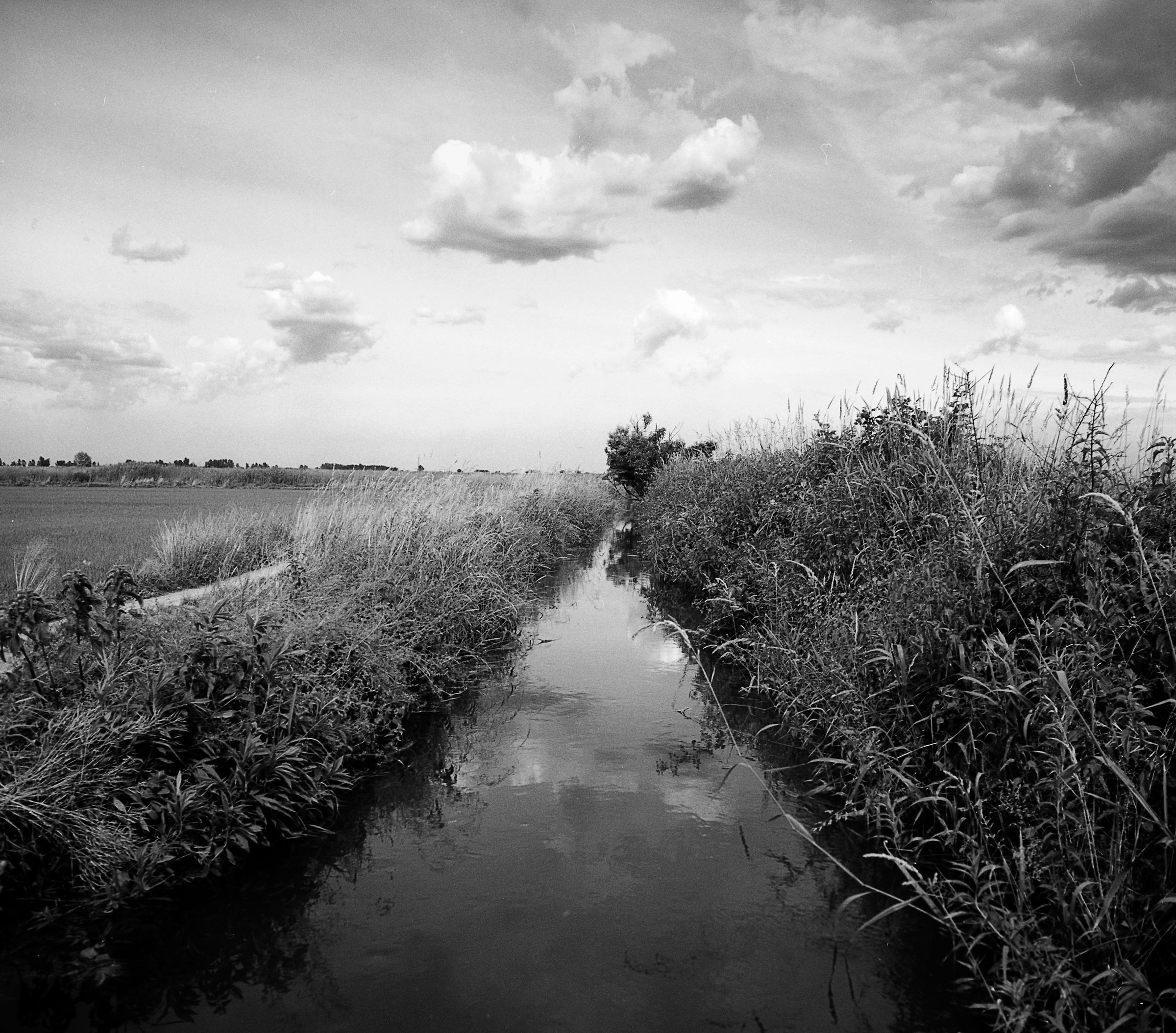 Campagna della Lomellina
