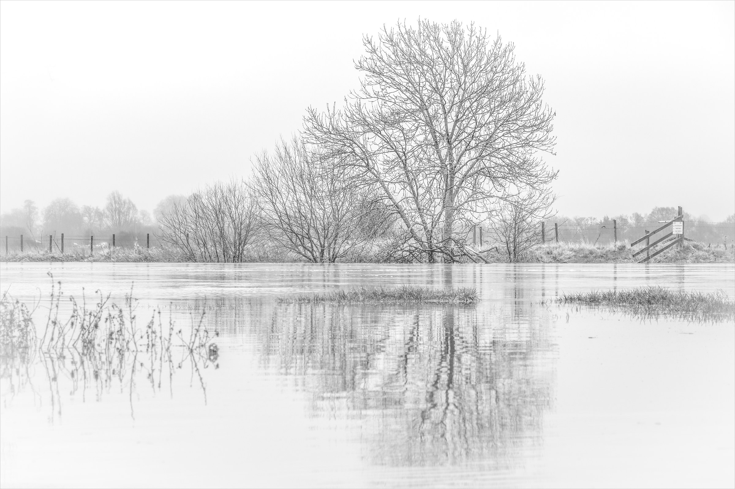 Nearly knee high in flood water.....