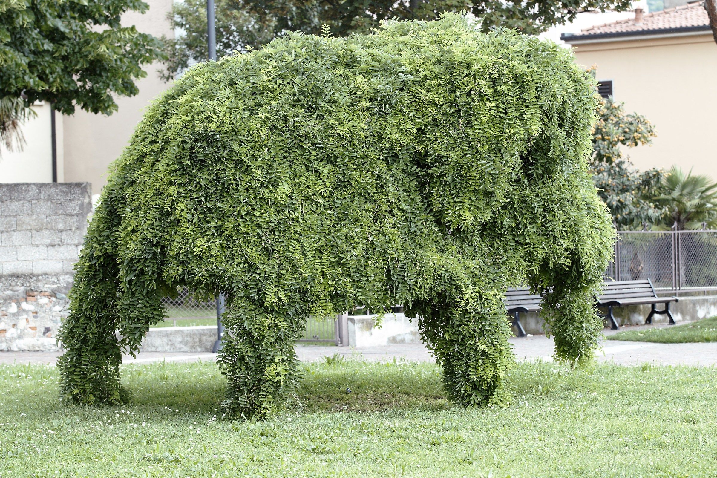 The made-to-measure dress