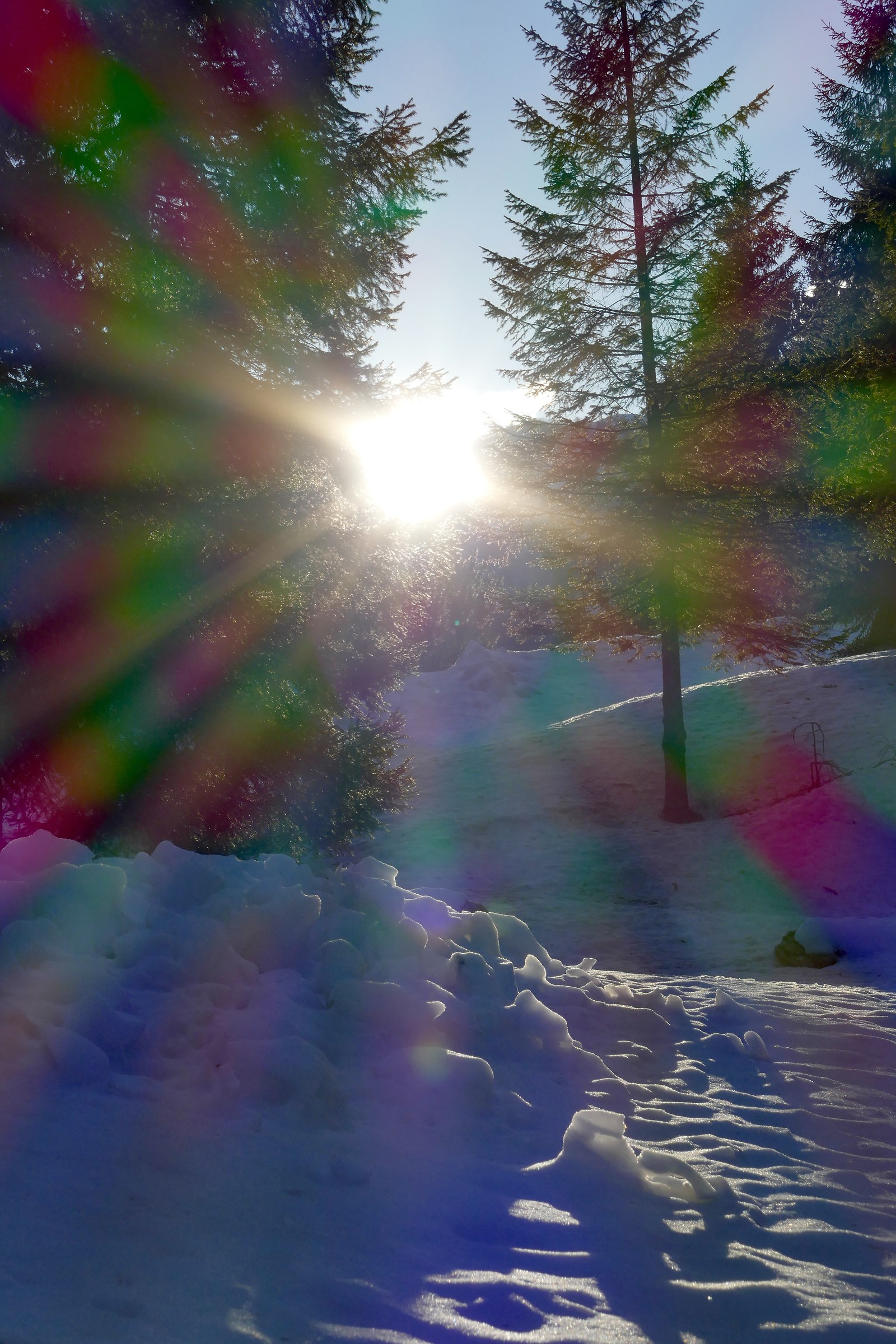 Riflessi (Piancavallo PN)