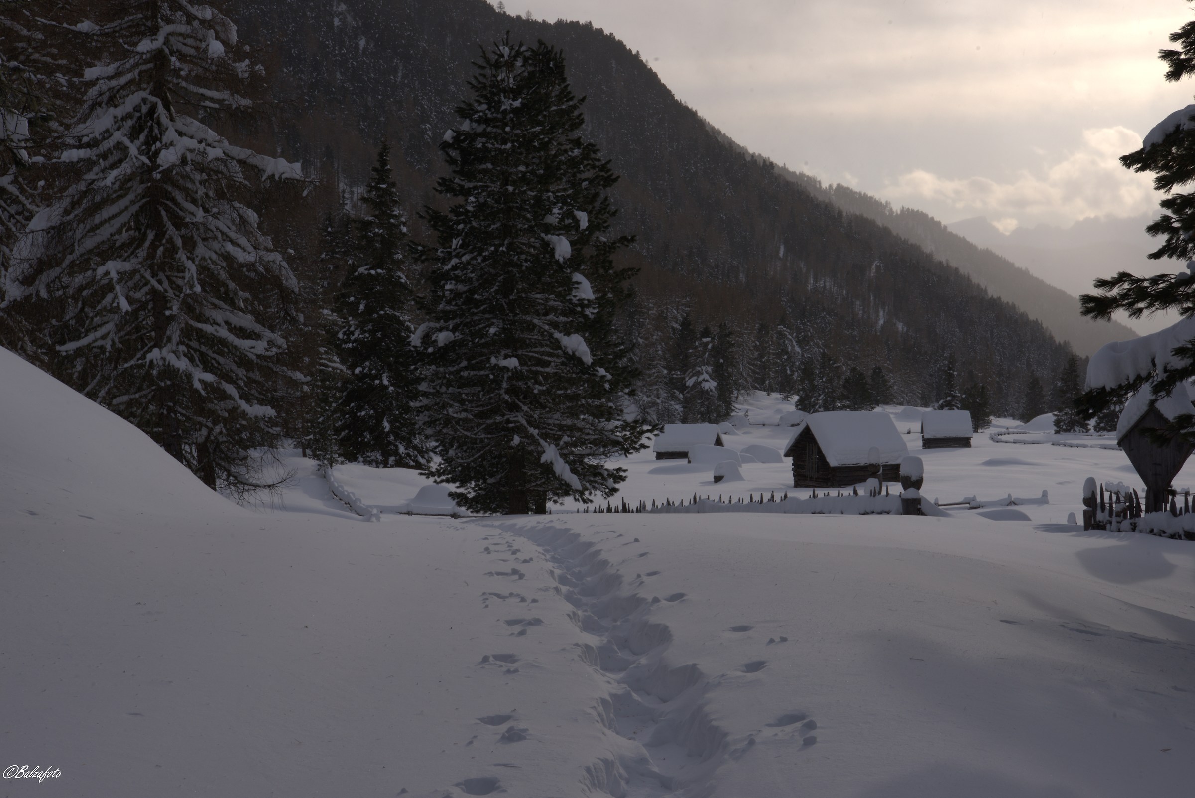 Snowshoeing along paths in the Vila di Sopra storm