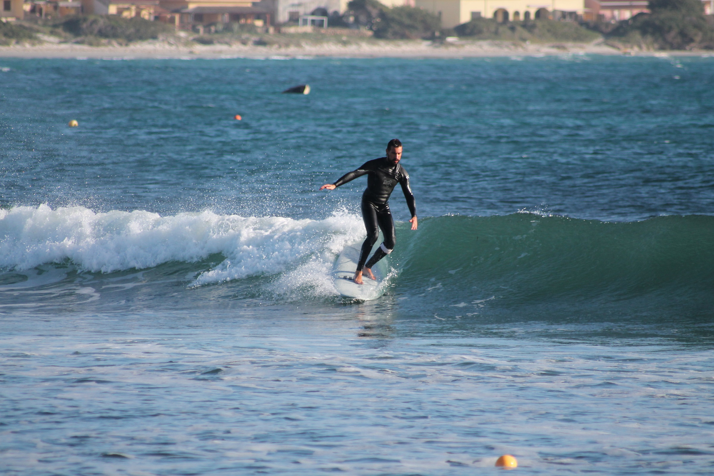 surf