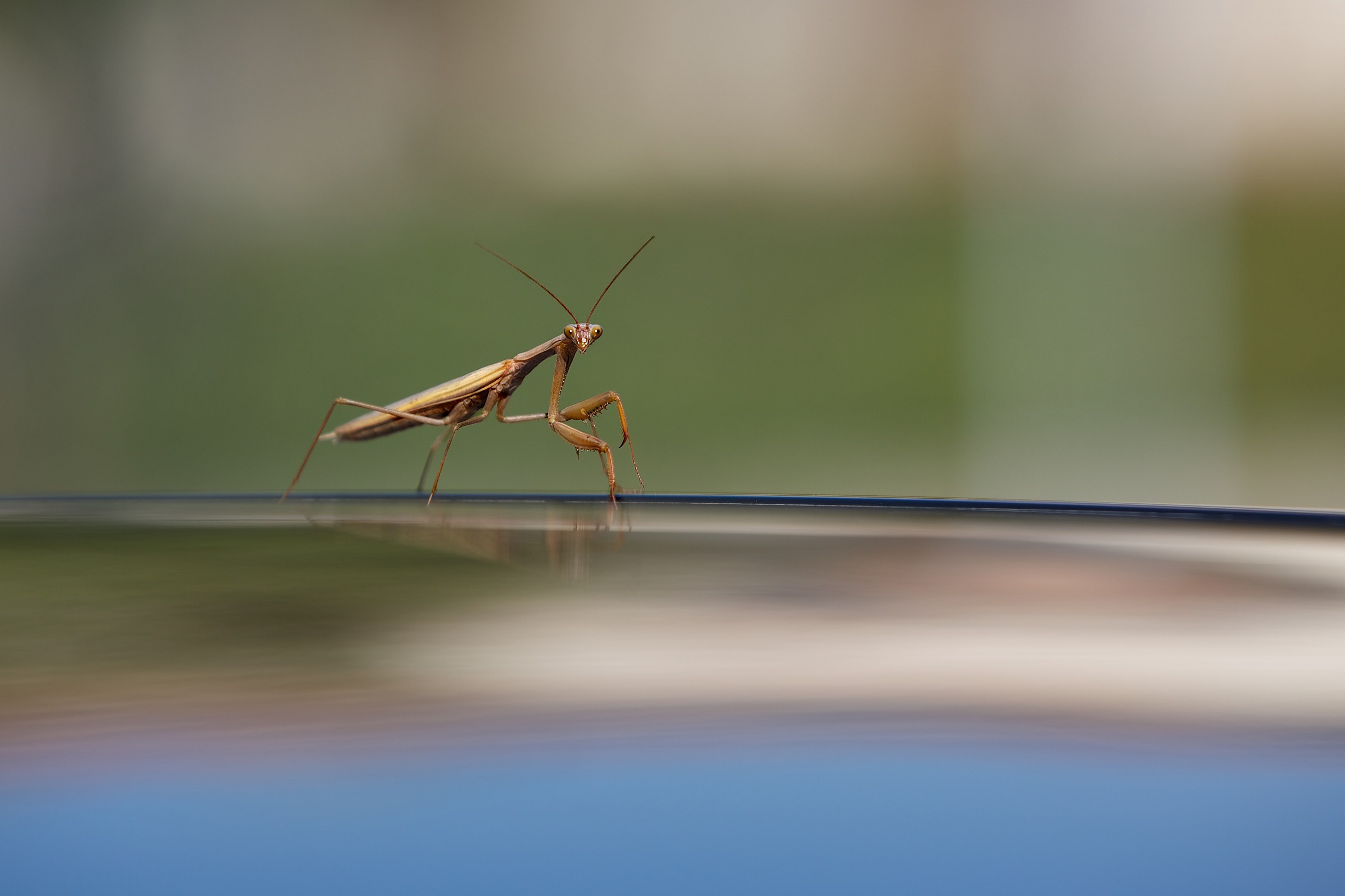 e questo che ca......spita sta facendo