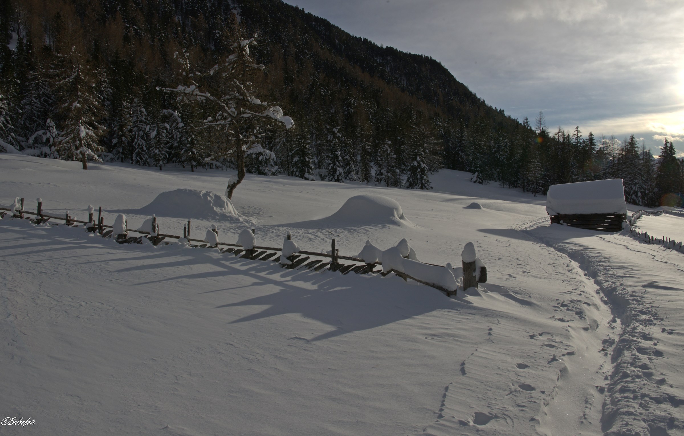 Ciaspolando lungo sentieri nella bufera Vila di Sopra