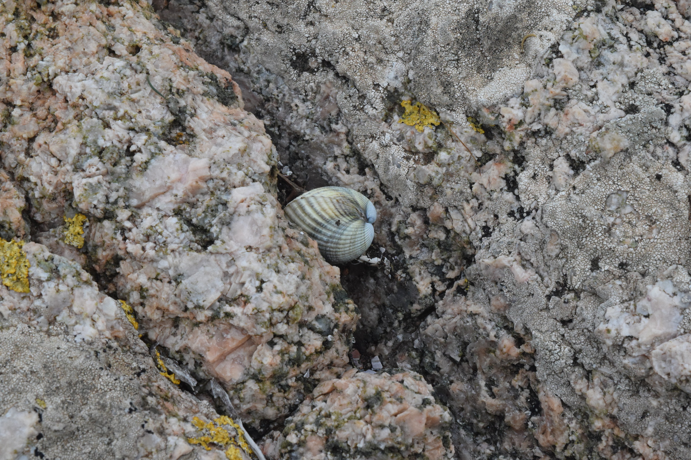 Giochiamo a nascondino?
