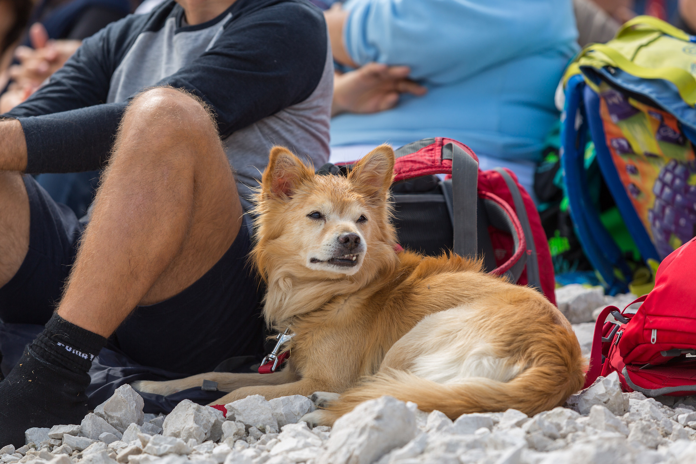 Sella Nevea, Concert Capossela