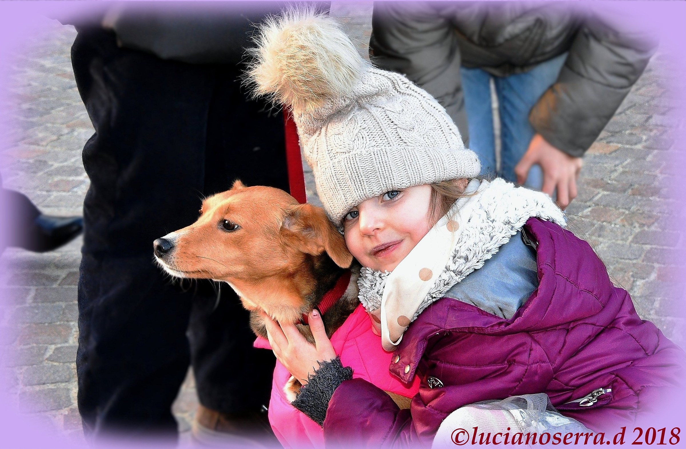 La cagnolina... che è stanca di essere fotografata...