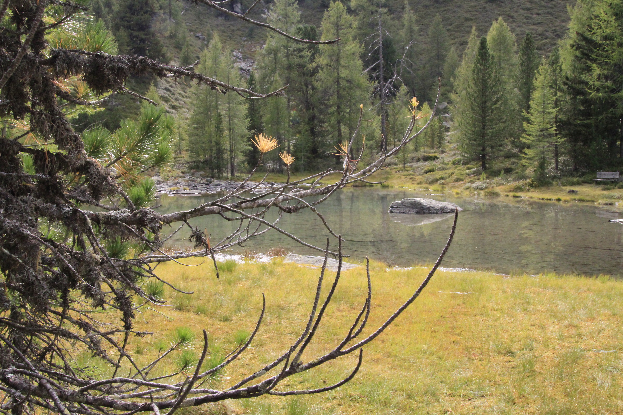 Nock Lacke -Alto Adige