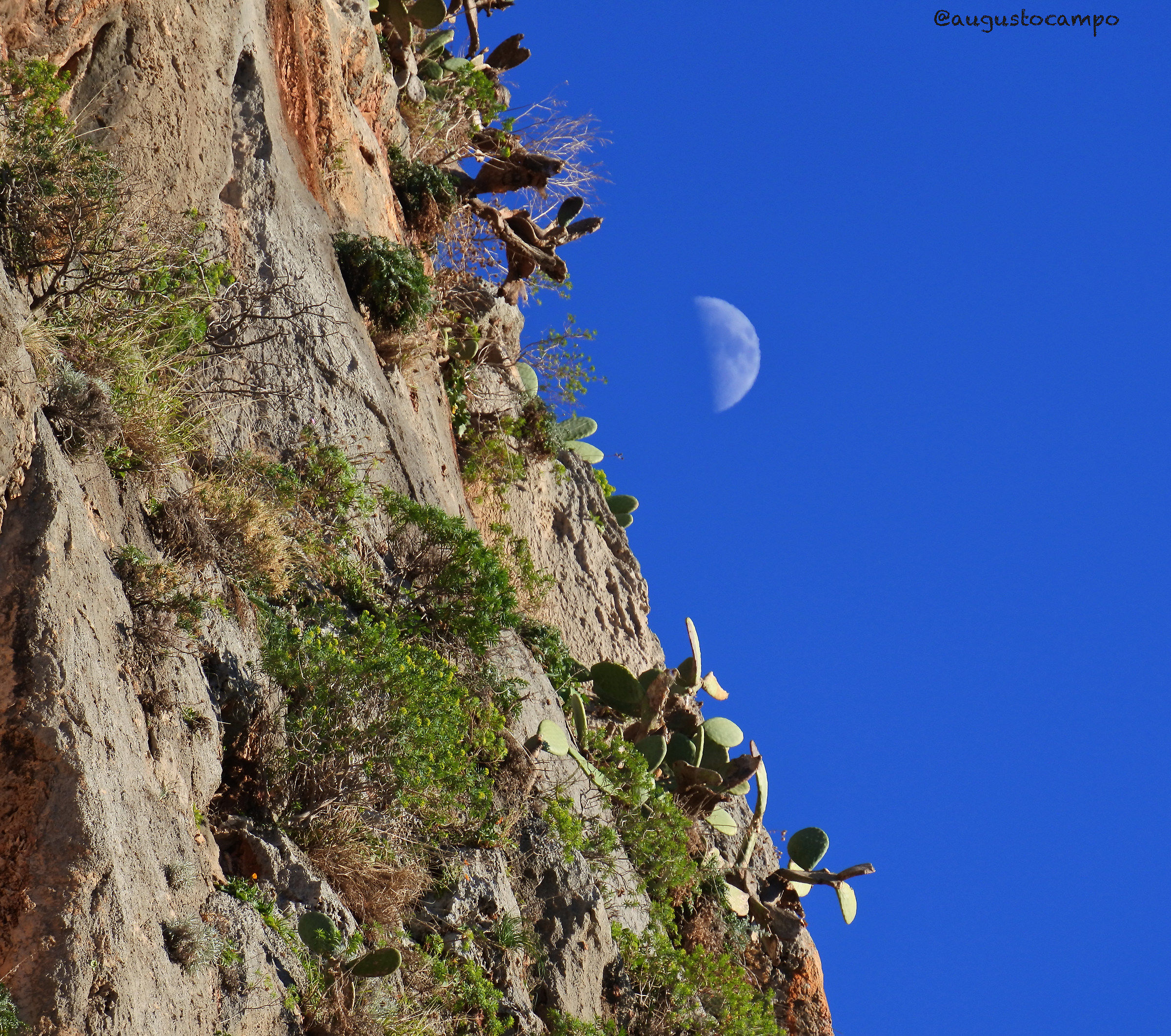 The moon and the rock