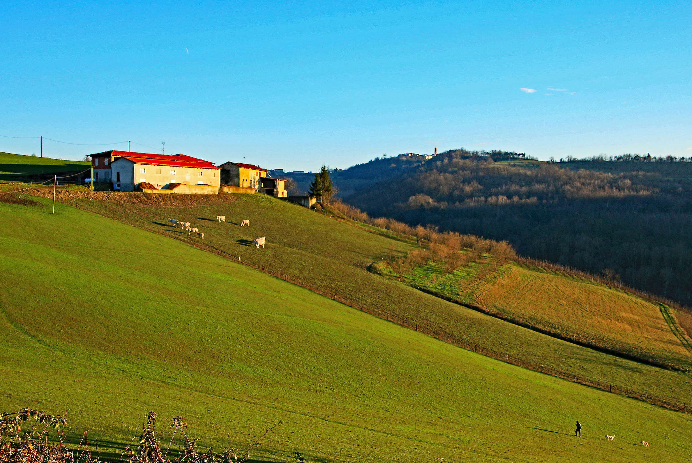 Langhe: Ritorno sul far della sera