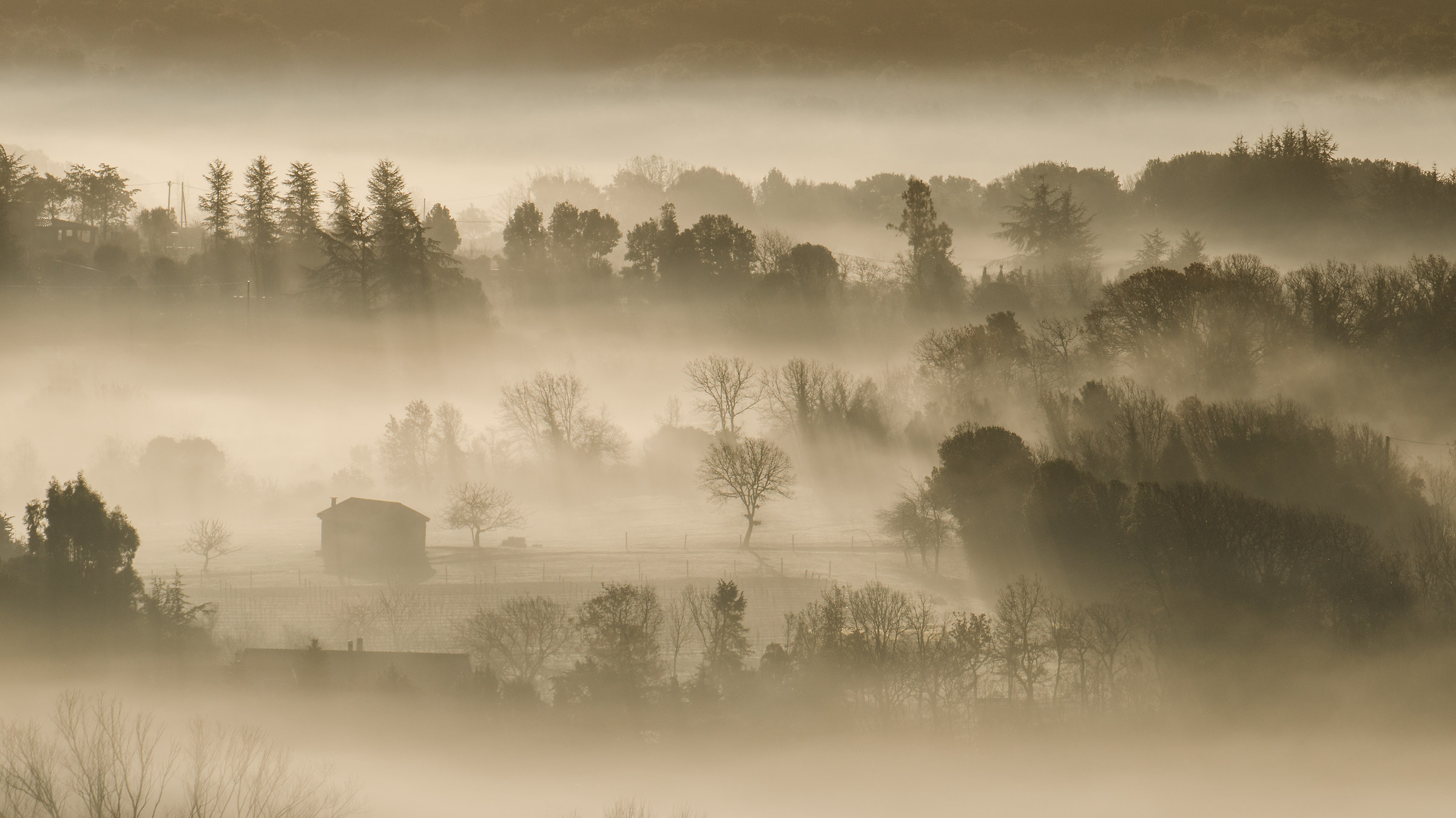 Morning visions at zero km