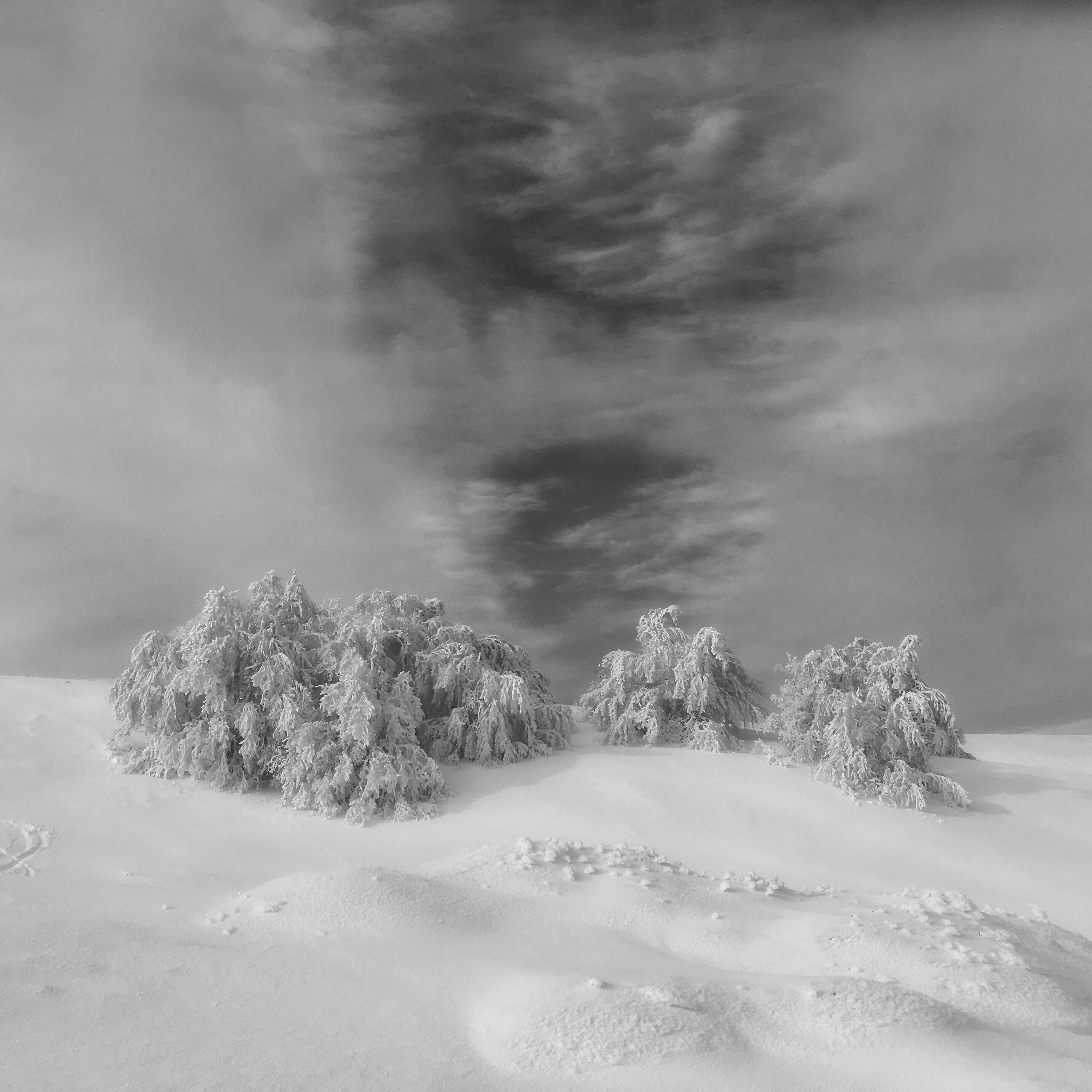 Appennino Reggiano, January 2018