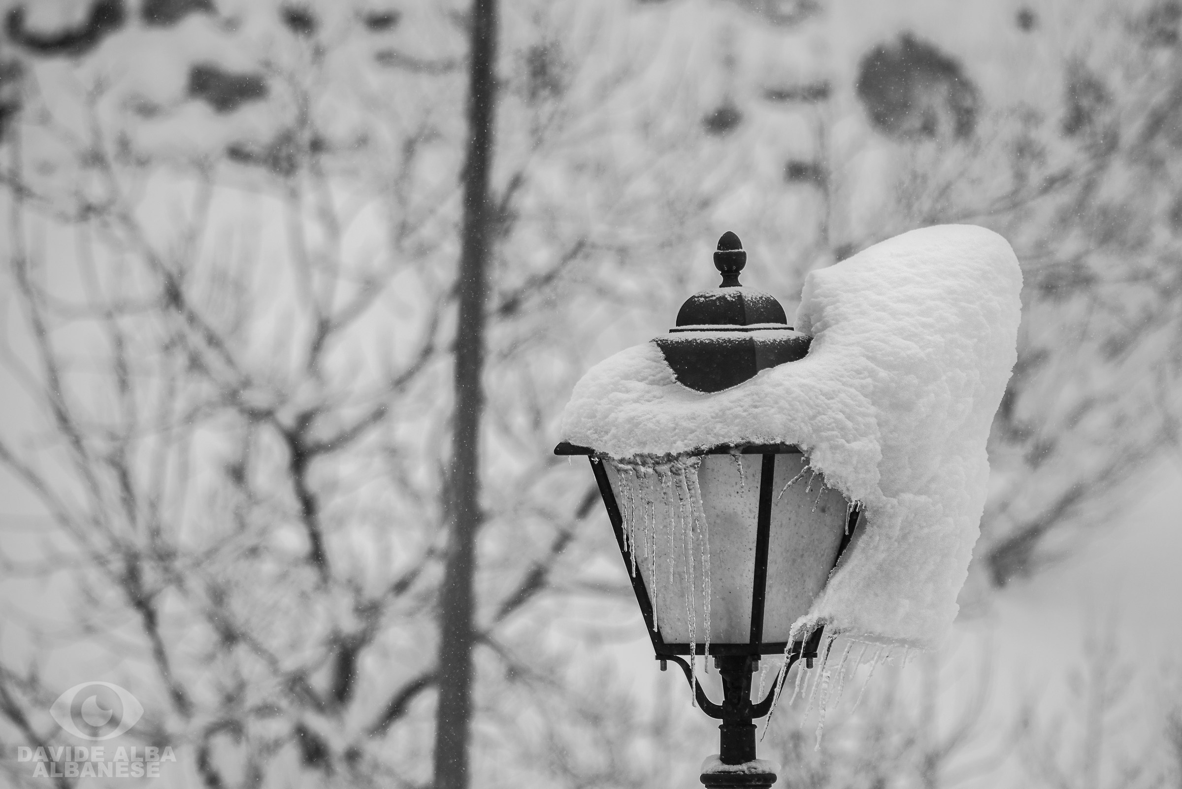 l' abbraccio della Neve