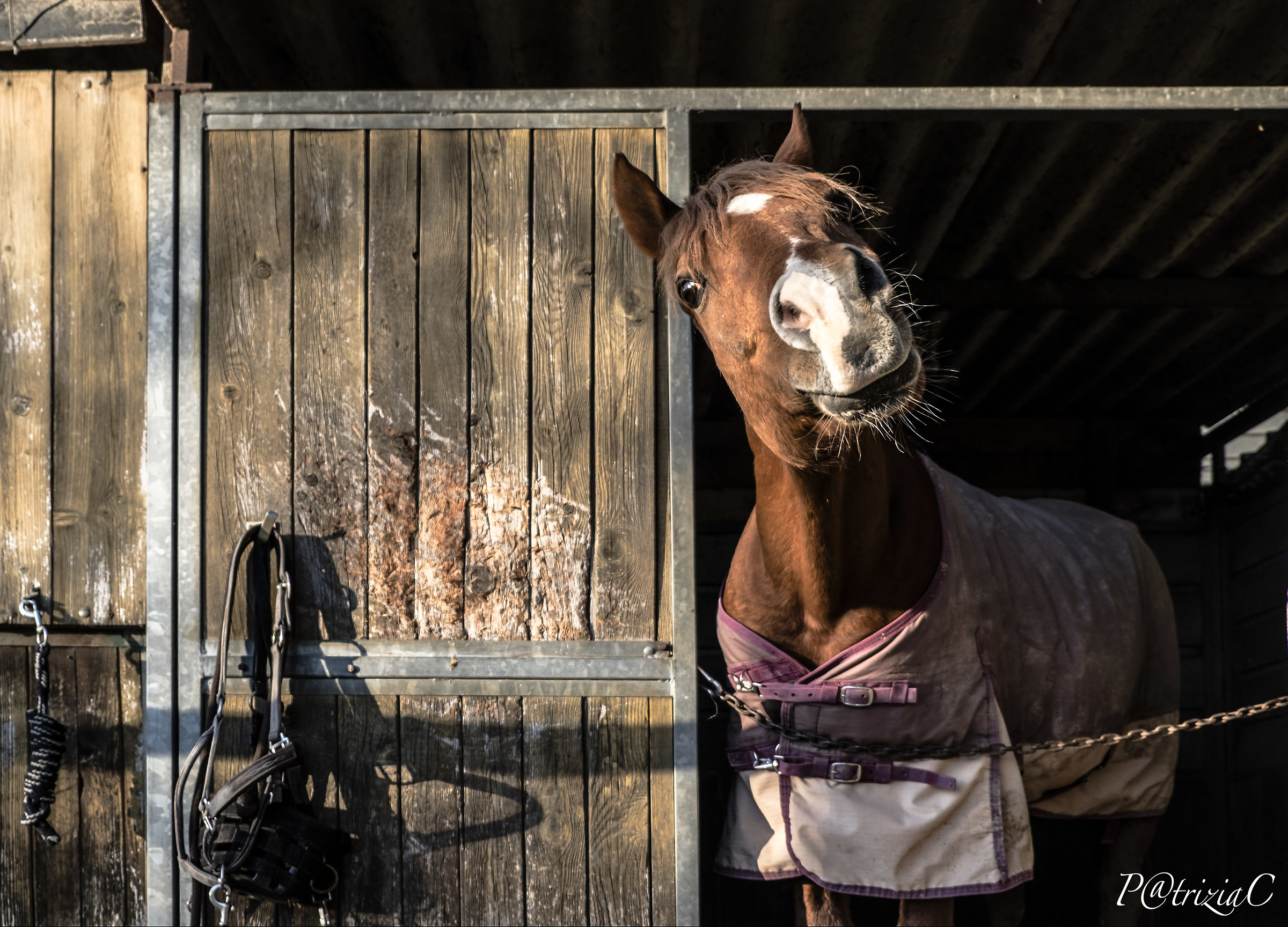 ...ecchccèèèè mi fotografi  ???