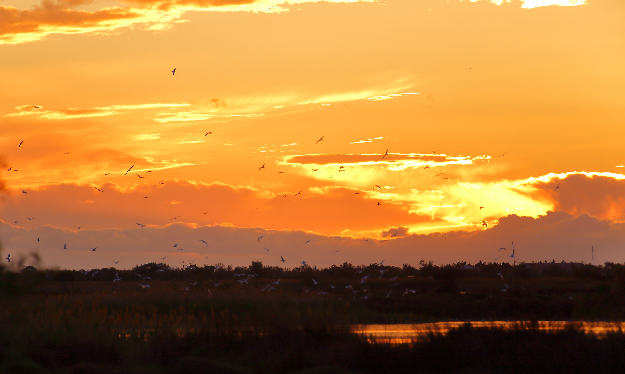 Tramonto sullo stagno