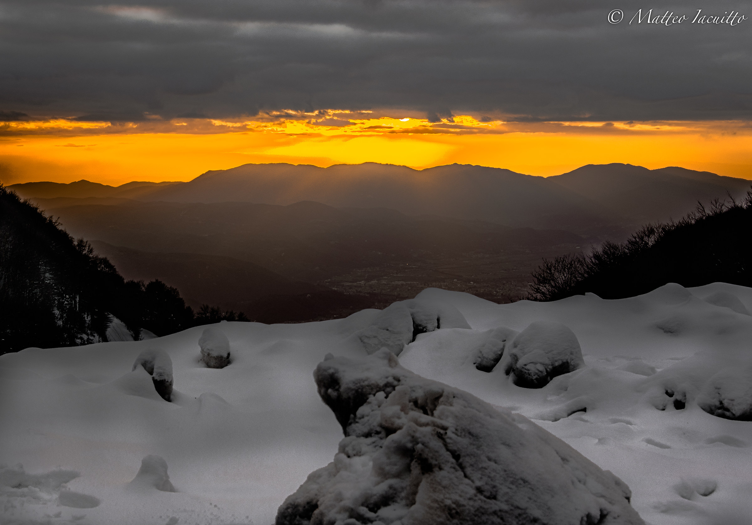 Between white and orange
