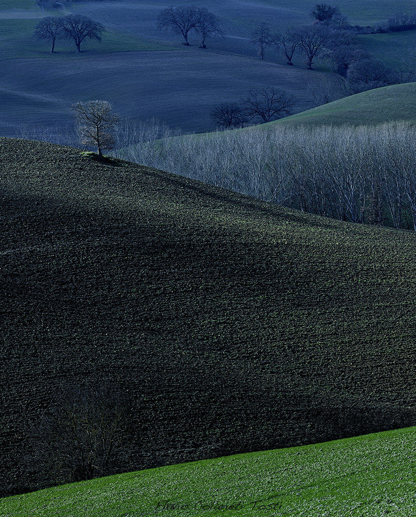 Val D'orcia ... shape and color