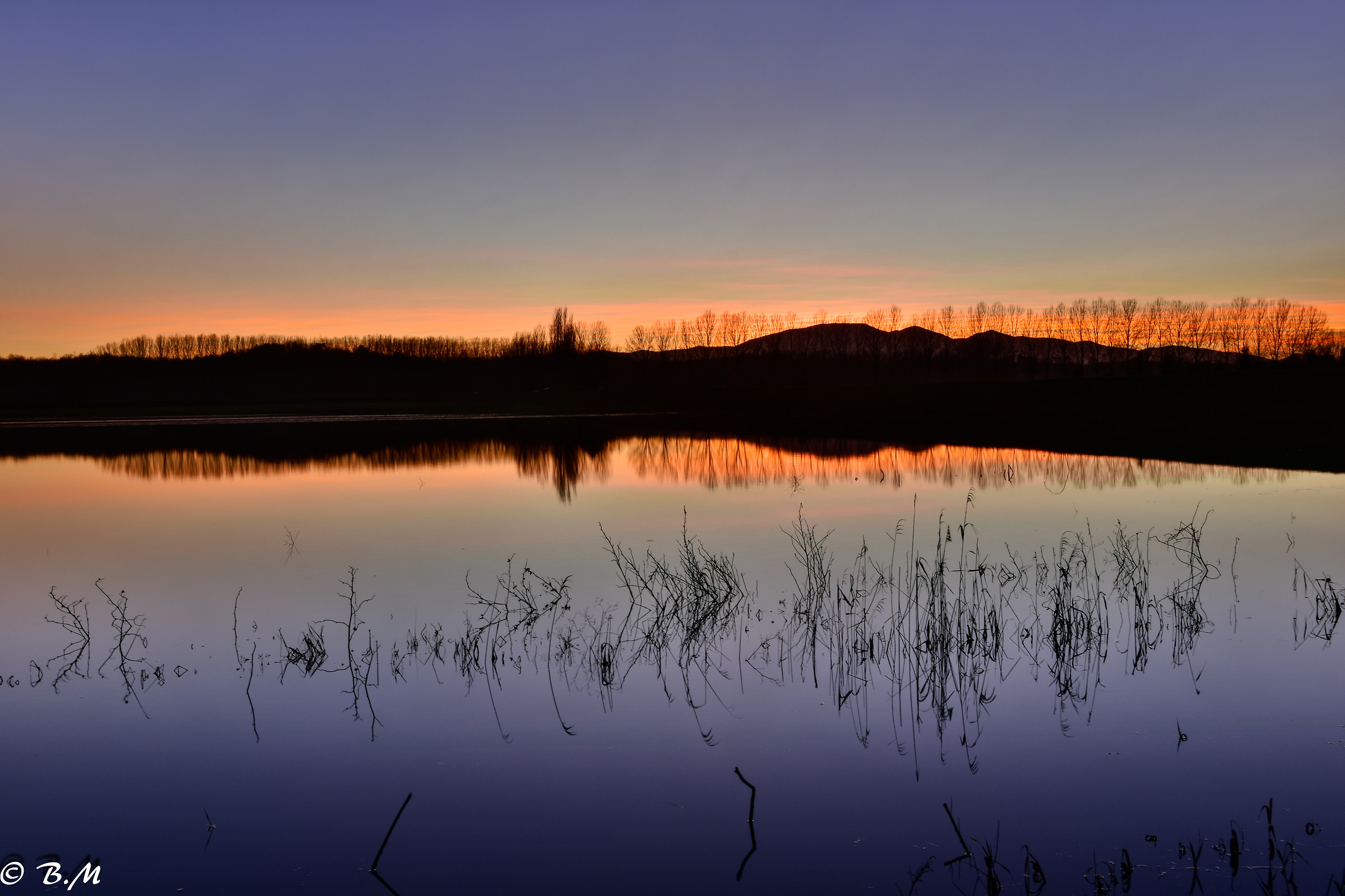 Padule di Fucecchio ""tramonto""